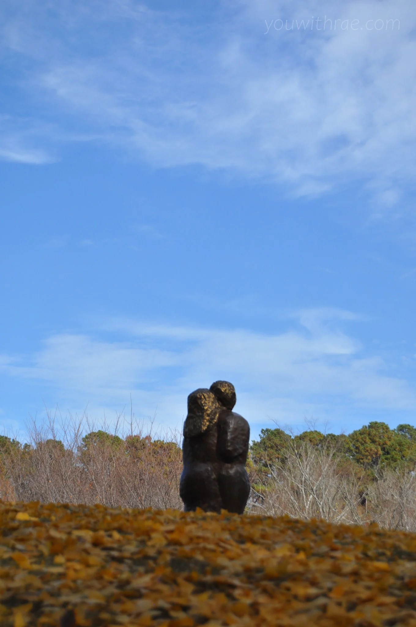 DSC_1336-2.jpg