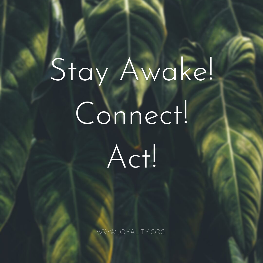 Stay Awake! Connect! Act!-2.png
