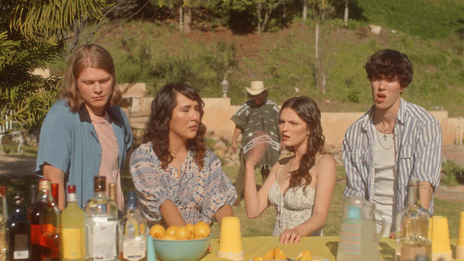 Mike's Hard Lemonade - Western Lemonade