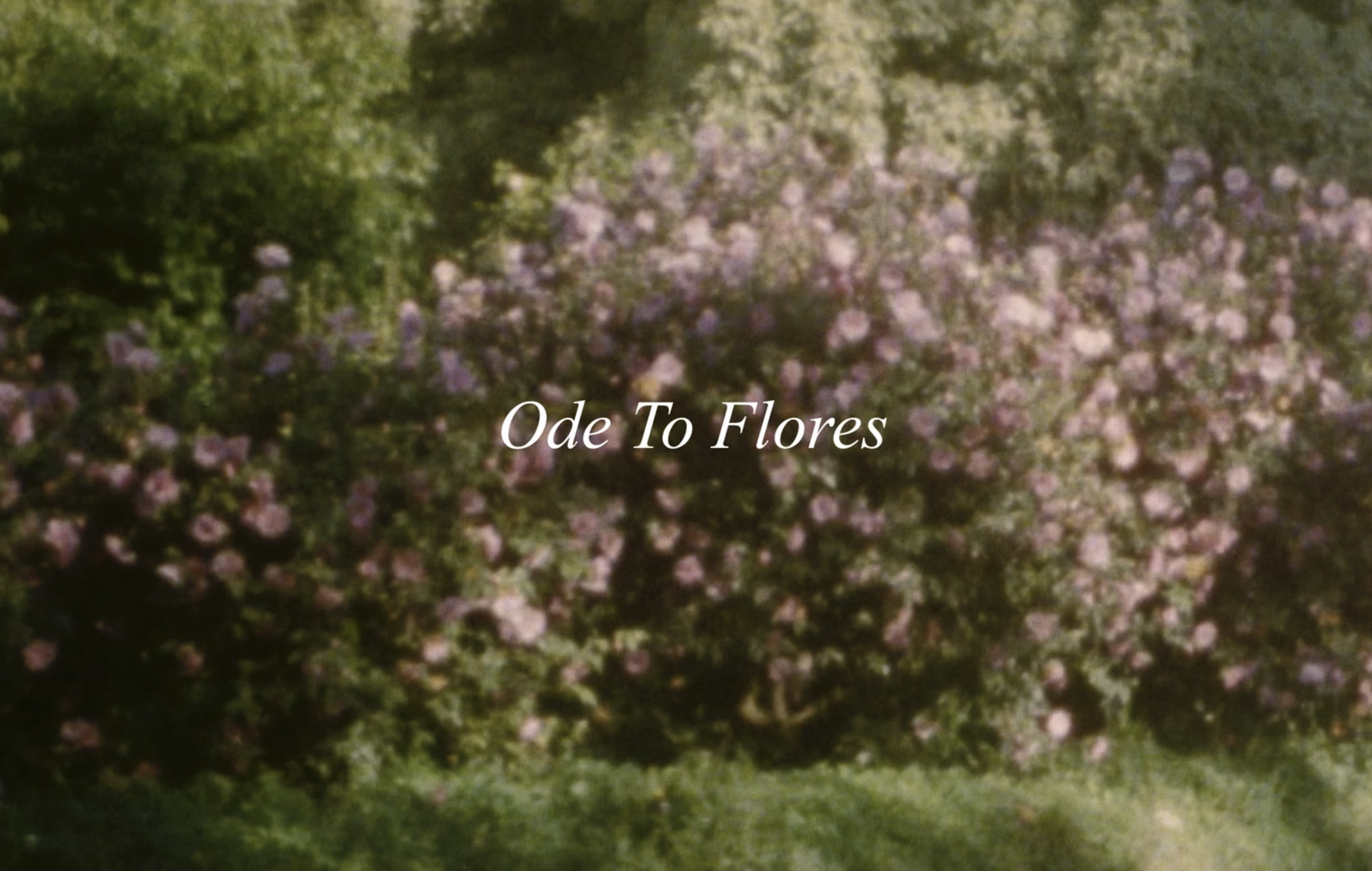 Original Score for AW/22 Ode To Flores Campaign.