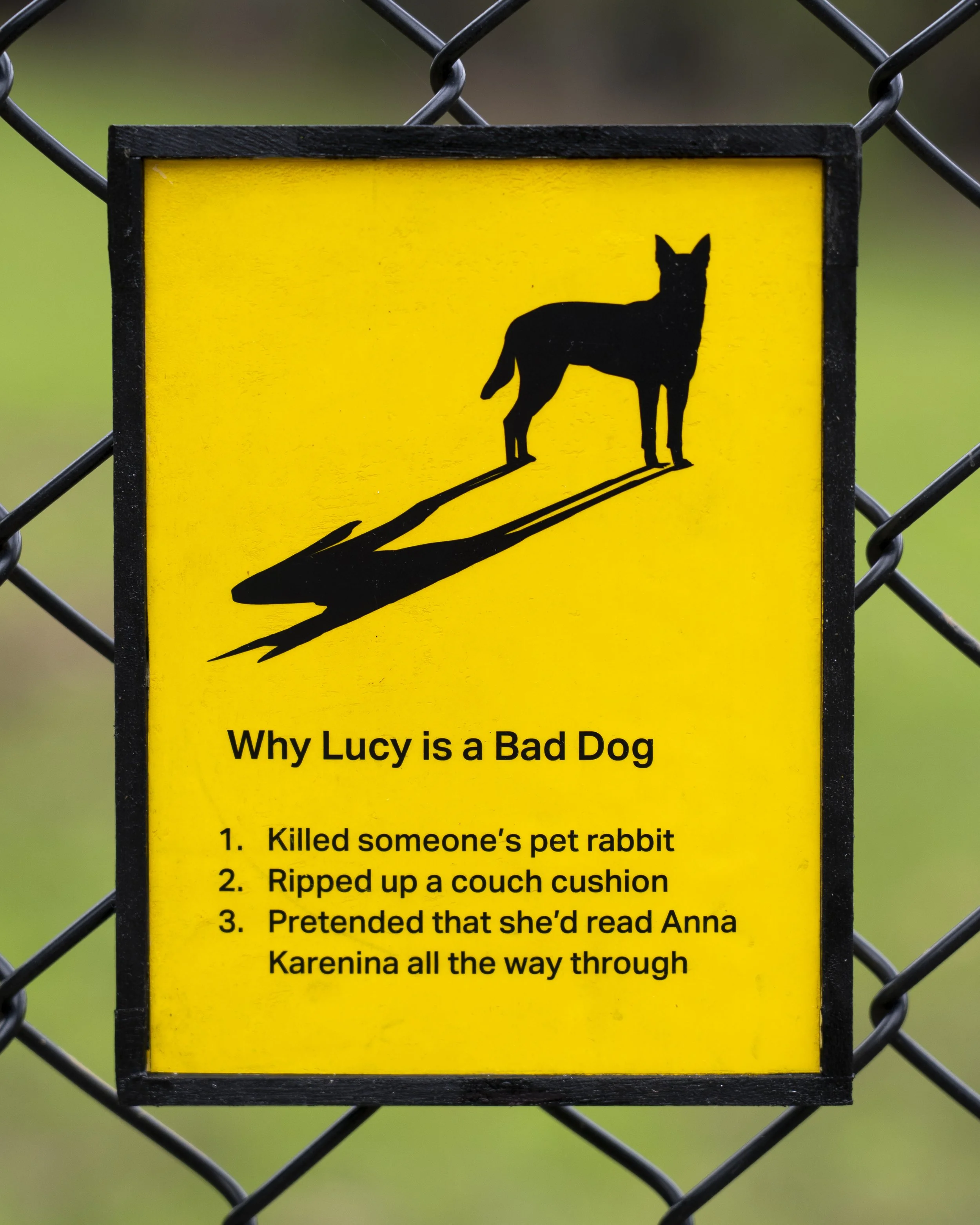 Lucy - 1.jpg