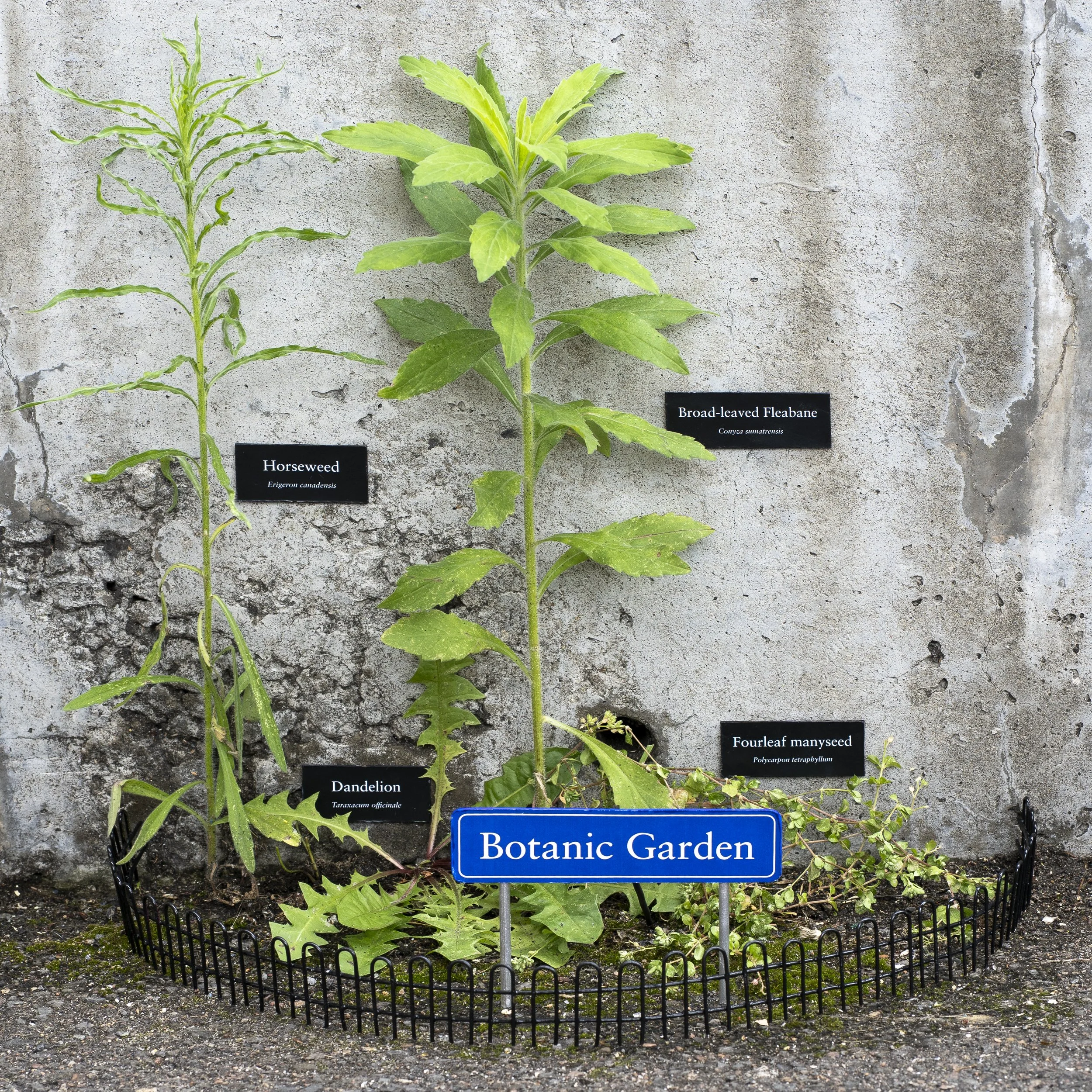 Botanic garden - Main.jpg