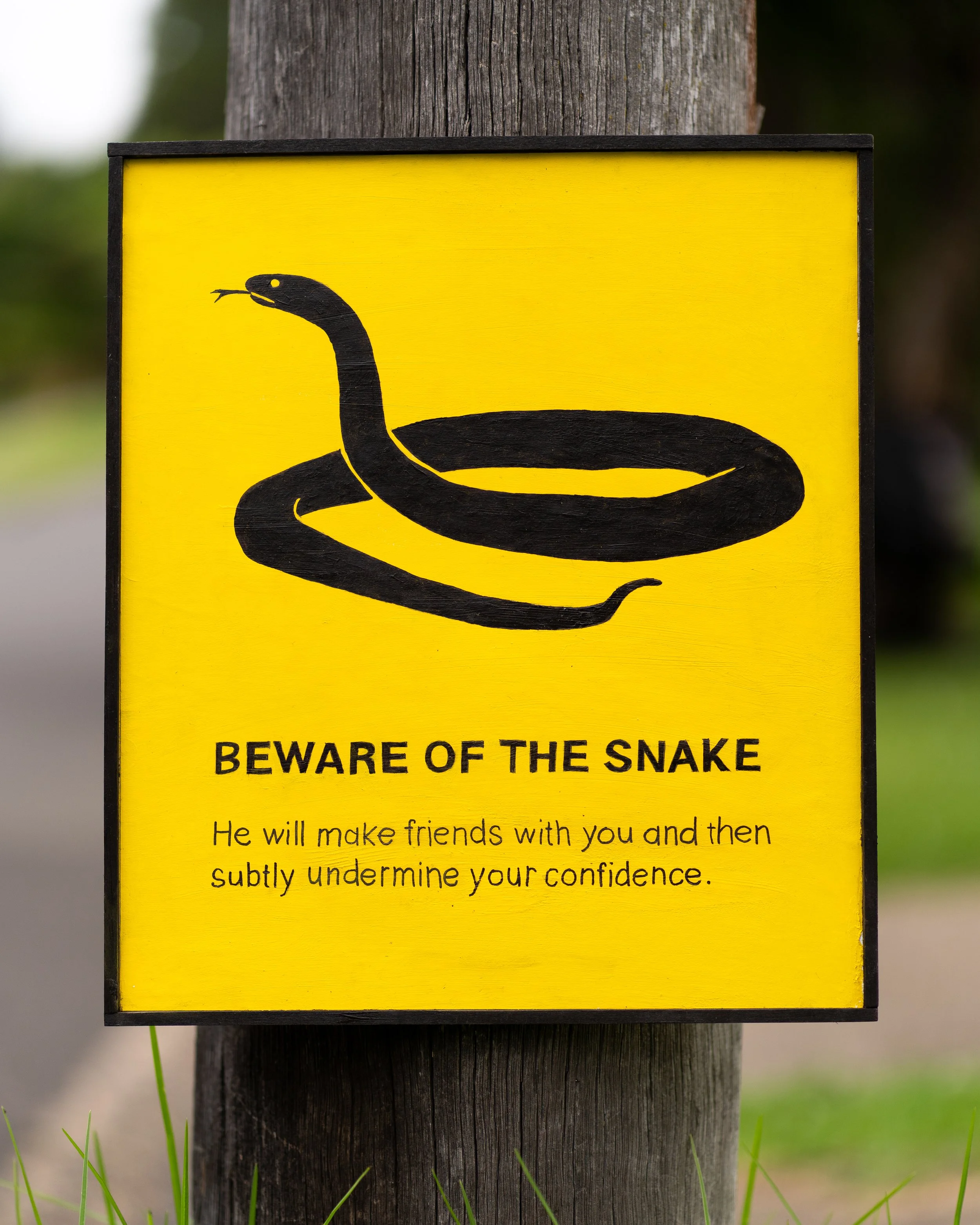 snake - 1 (better).jpg