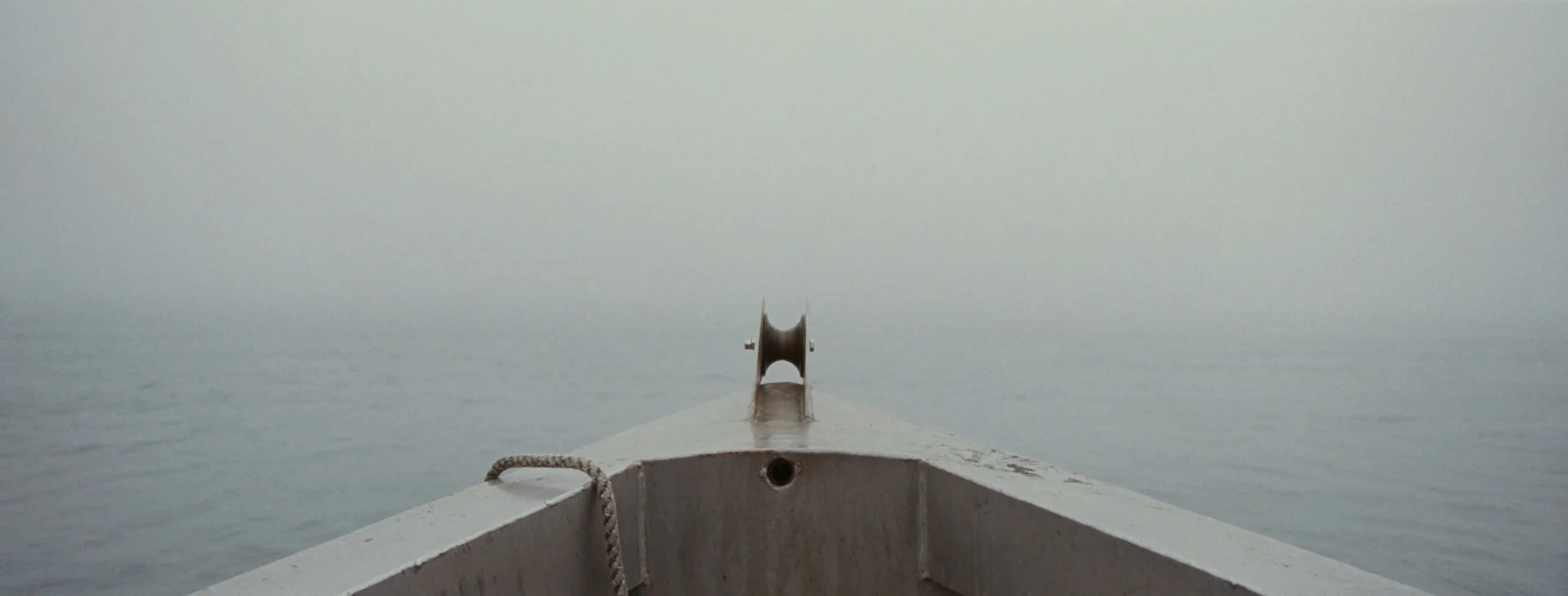 top stills_1.1.13.jpg