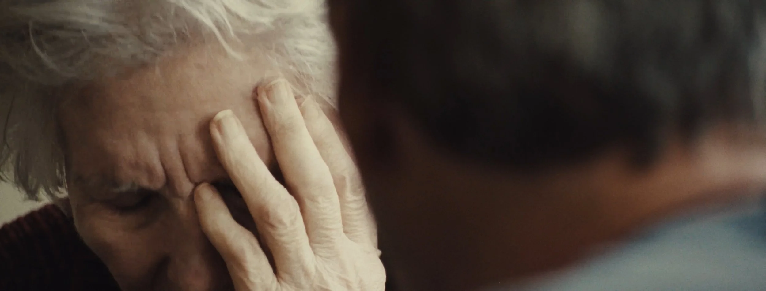 top stills_1.1.4.jpg