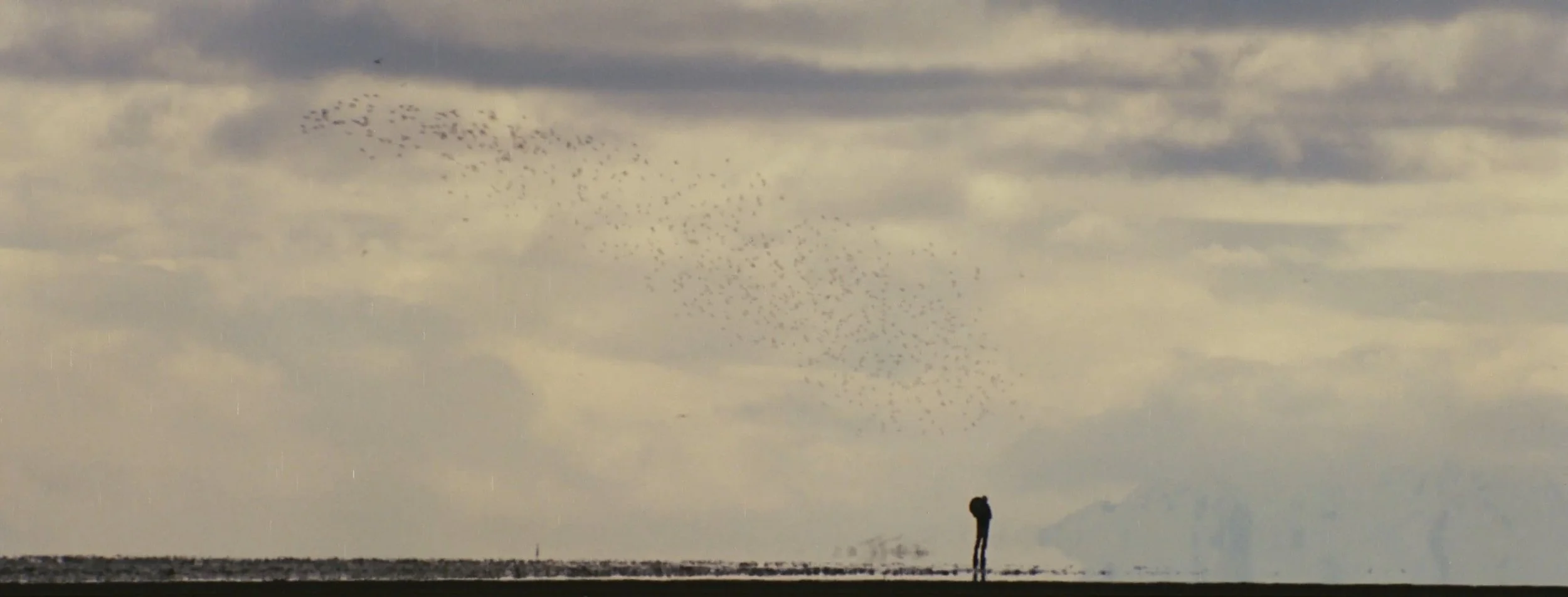 top stills_1.1.19.jpg