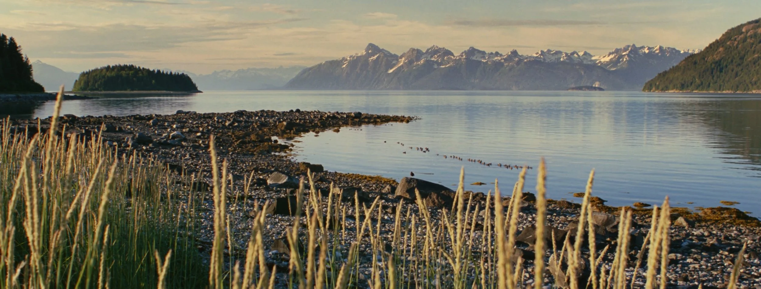 top stills_1.1.21.jpg