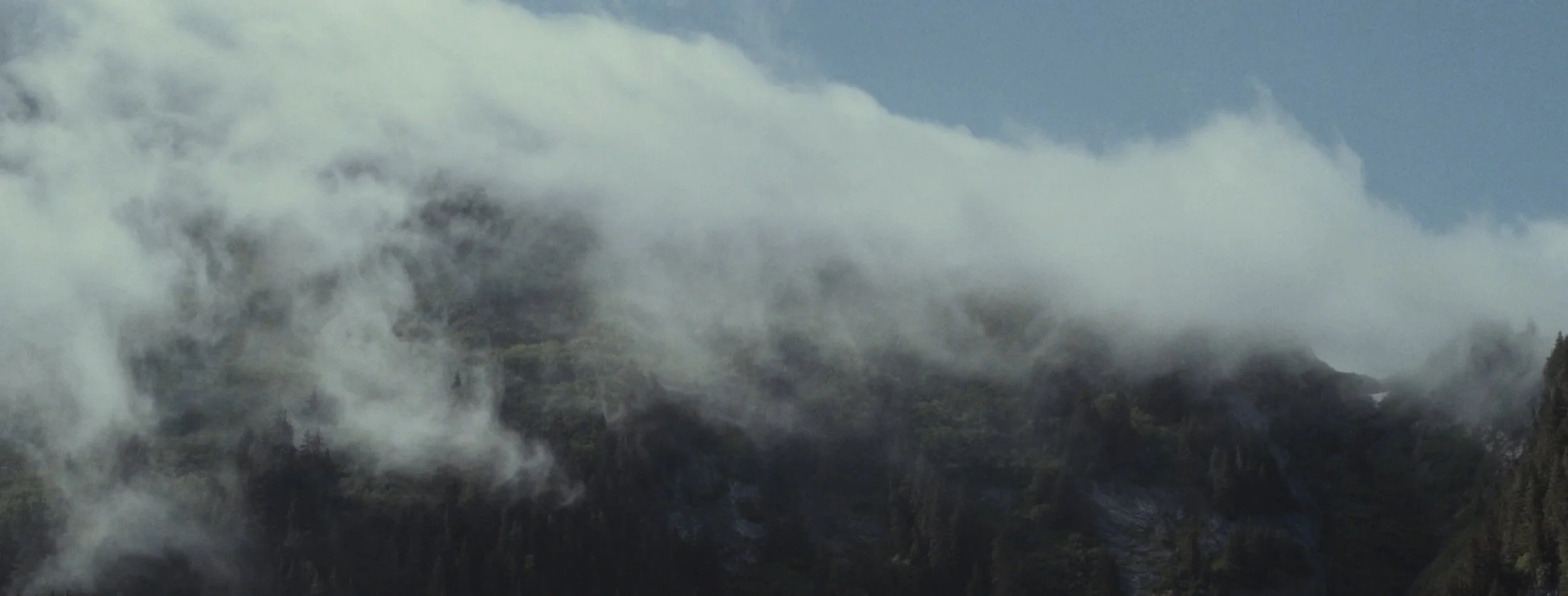 top stills_1.1.12.jpg