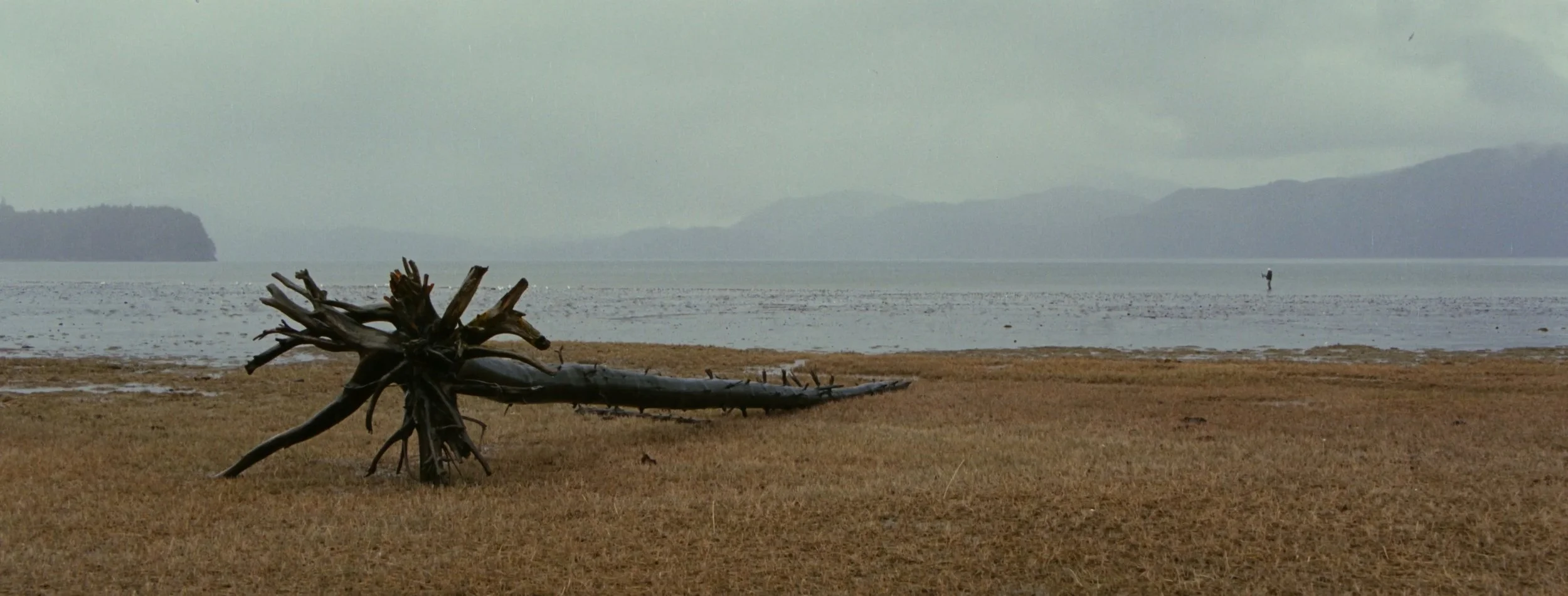 top stills_1.1.17.jpg