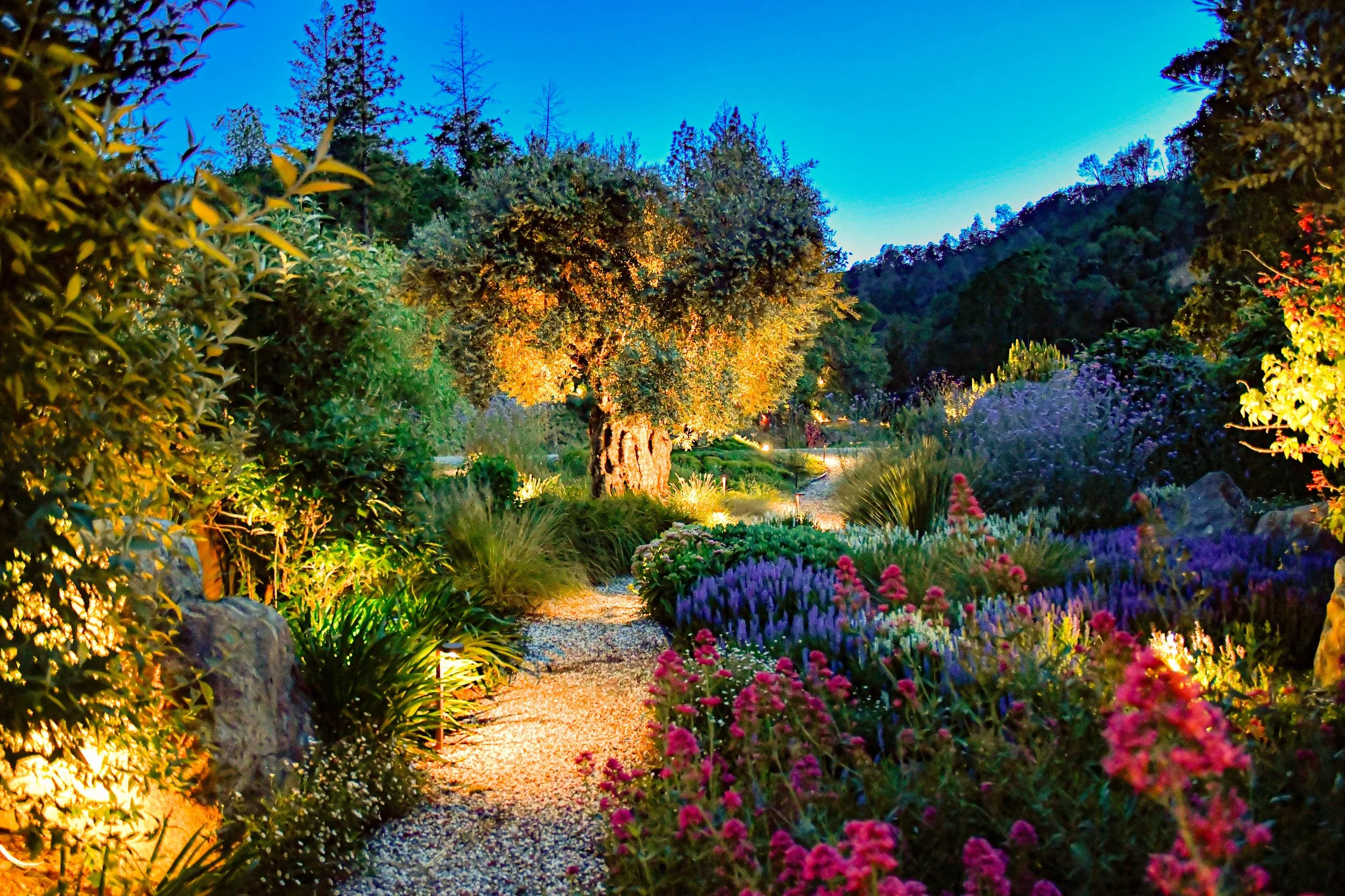 A colorful garden path during twilight with illuminated trees and vibrant flowers, surrounded by green bushes and mountains in the background.
