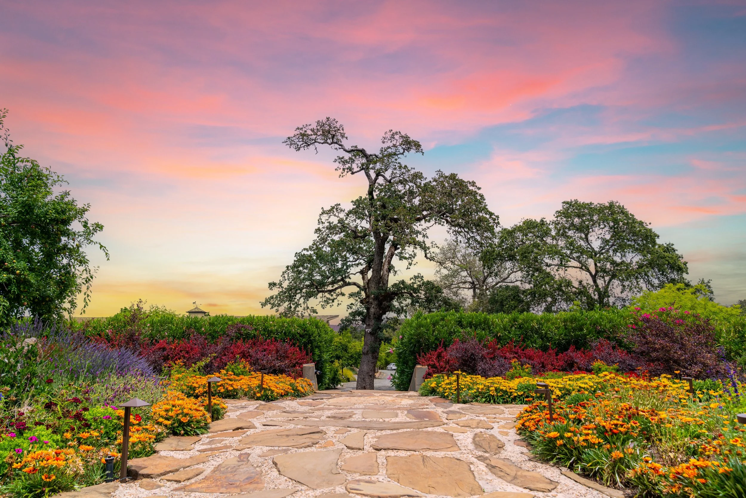 A stone pathway through a colorful garden with blooming flowers, leading to a large tree at sunset with a pastel pink and blue sky.