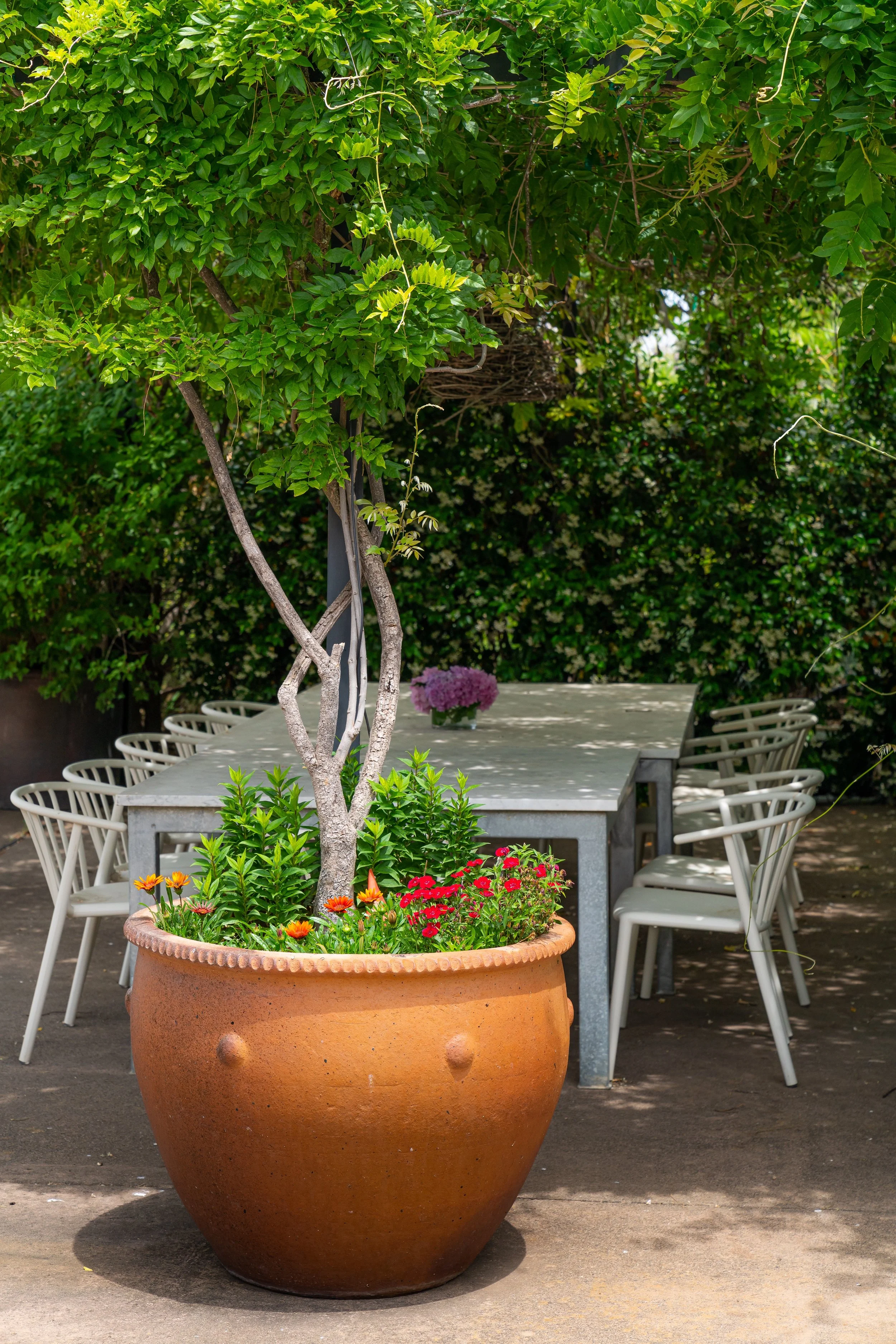 A large terracotta pot with a small tree and colorful flowers at its base, placed in front of a modern outdoor dining table with chairs, set in a lush garden.