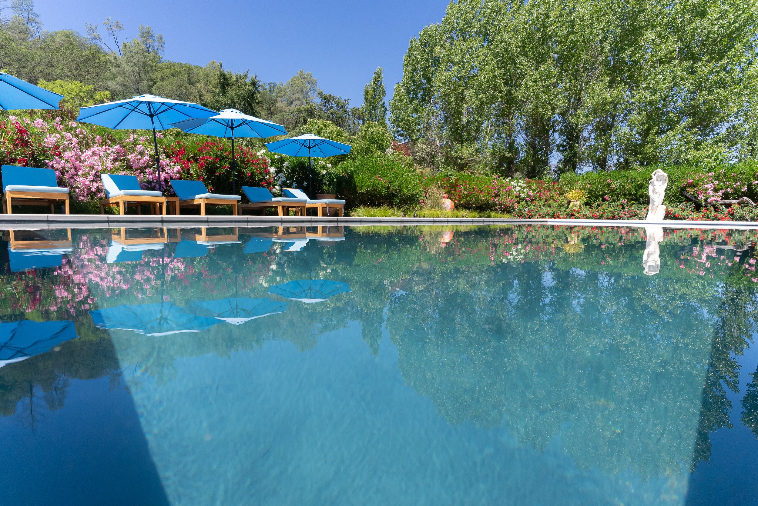 Swimming pool with blue umbrellas and lounge chairs, surrounded by flowering bushes and tall green trees, under a clear blue sky.