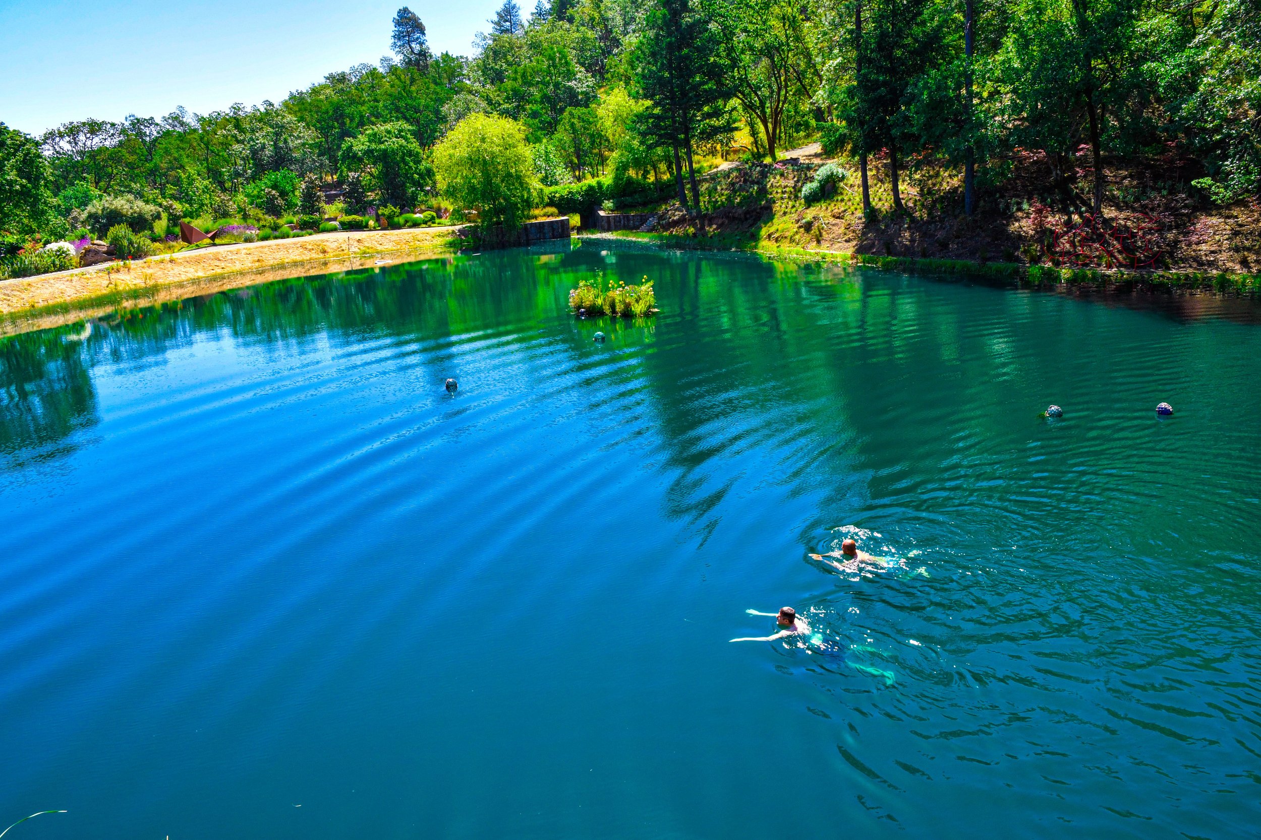 Two people swimming in a peaceful blue lake surrounded by lush green trees and a grassy bank.