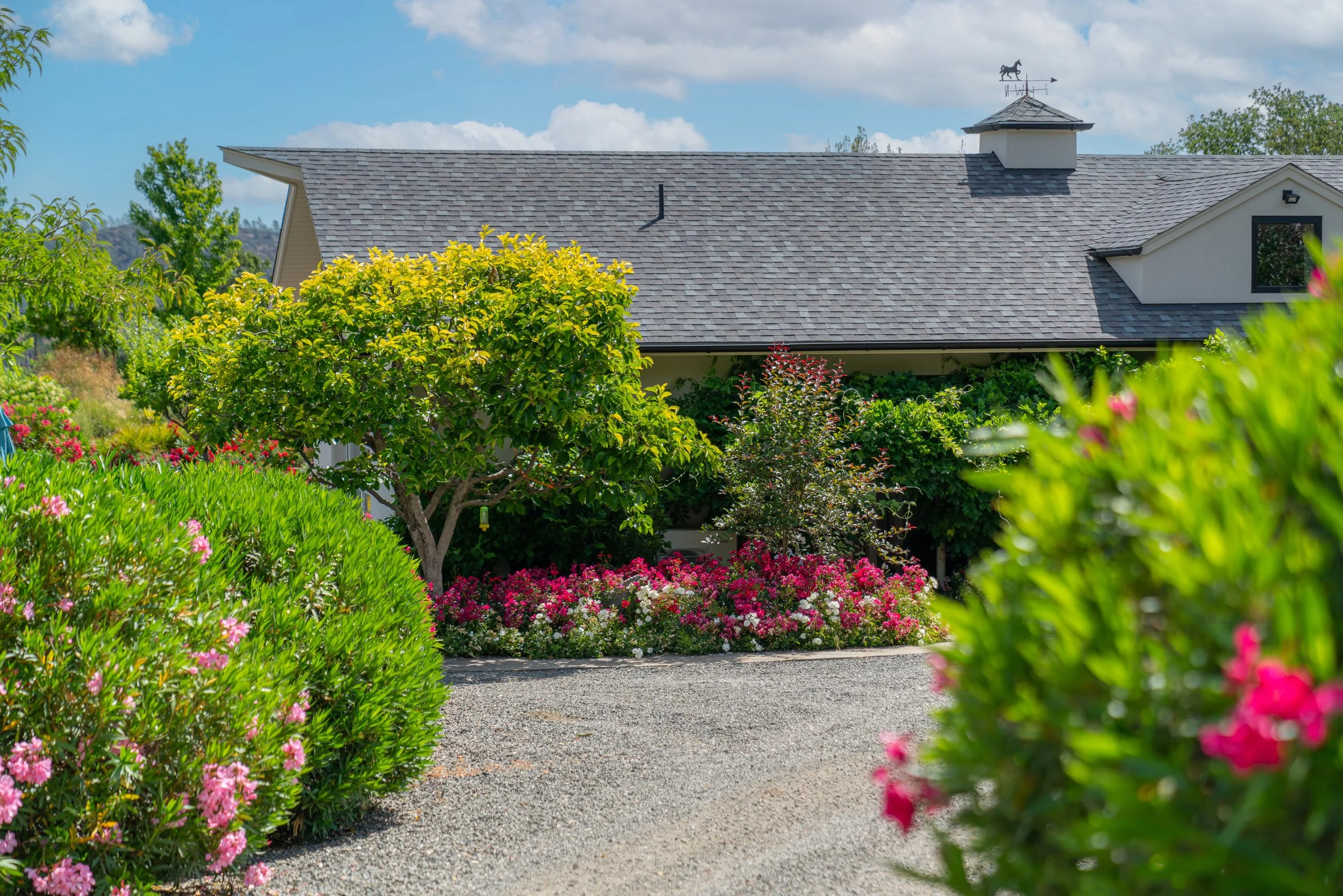 A house with a gray shingled roof surrounded by colorful flowering bushes and trees in a garden.
