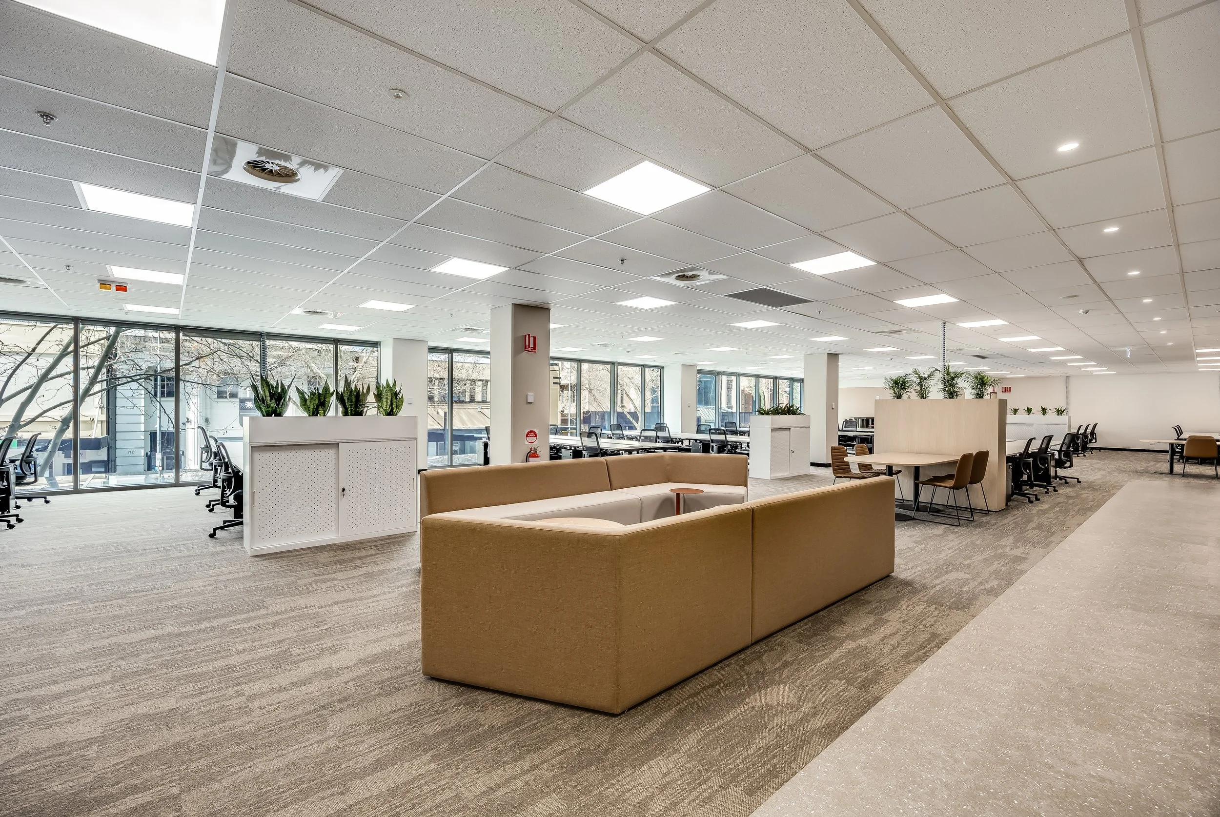 CBRE - 151 Pirie St-41.jpg