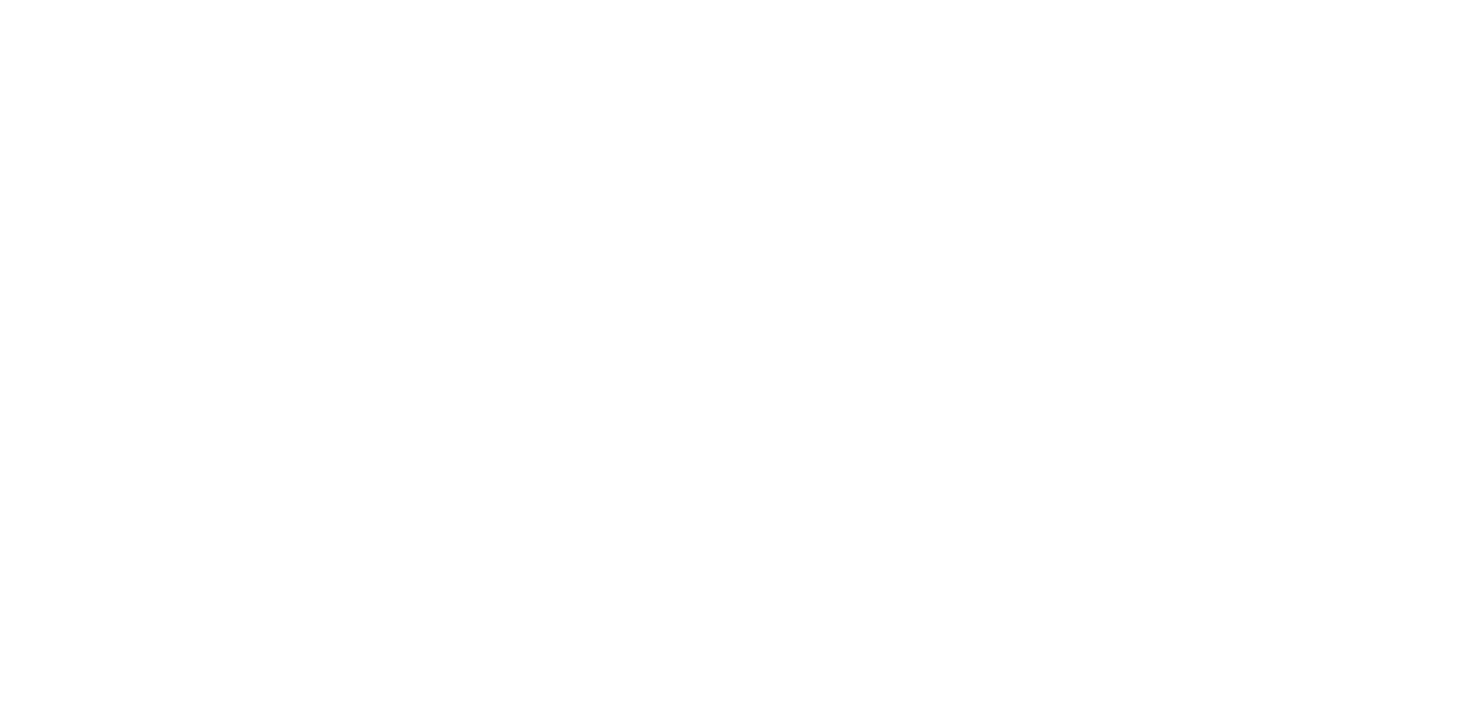 Shores Company