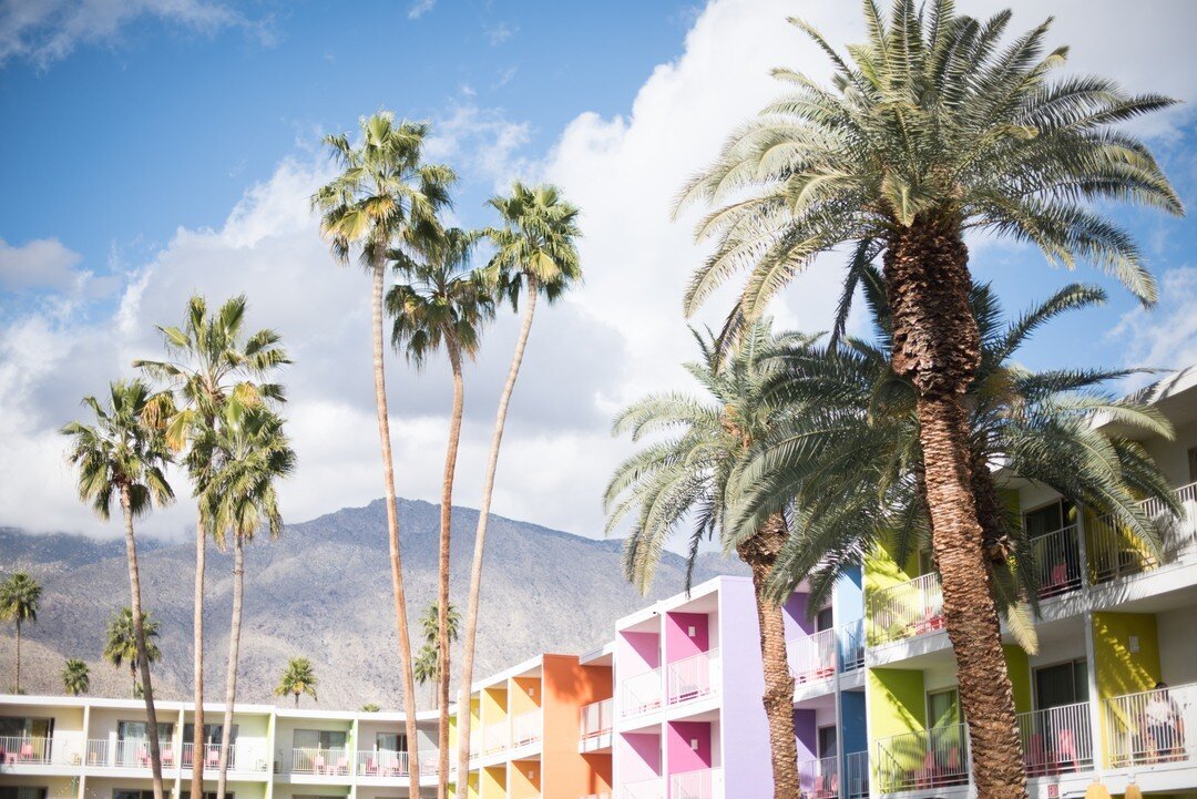 Who else is dreaming about palm trees and sunny days between the storms here in Northern California? I'm counting down the days to @ALTSummit, can't wait to see old friends @cyndiespiegel @designmom @janemossbachermorris @heathdon @nicolebreanne (and