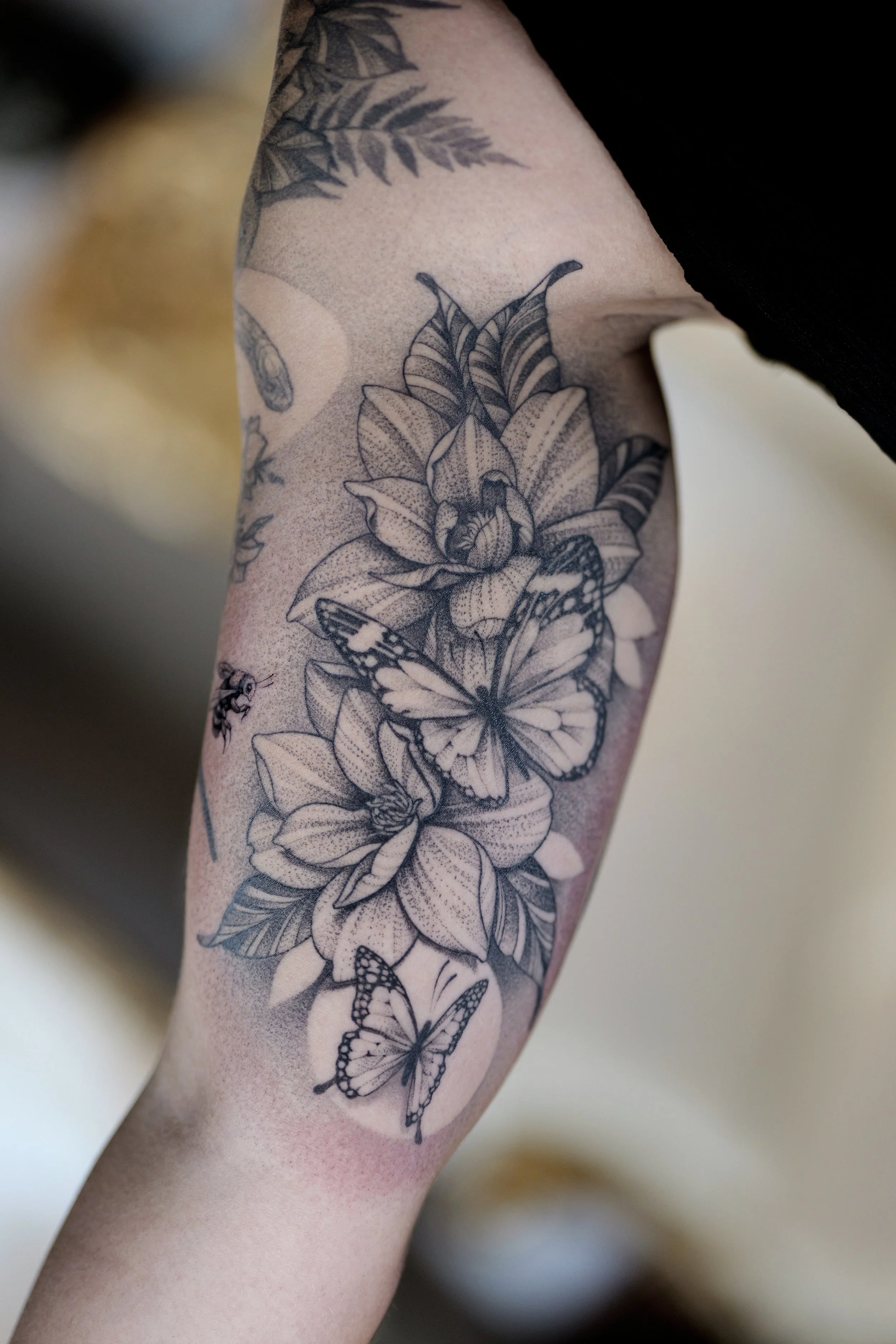 P1096046~4.JPG
