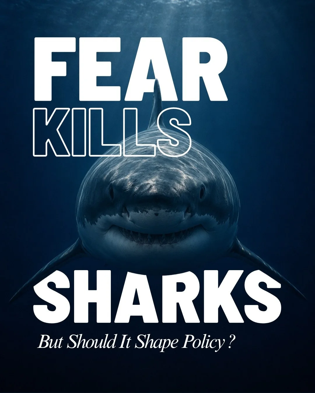 Should Fear Shape Shark Policy?

After spending a year living in Australia, one conversation kept coming up whenever sharks made the headlines : shark culling.

Every shark bite is devastating. It&rsquo;s completely understandable that communities wa