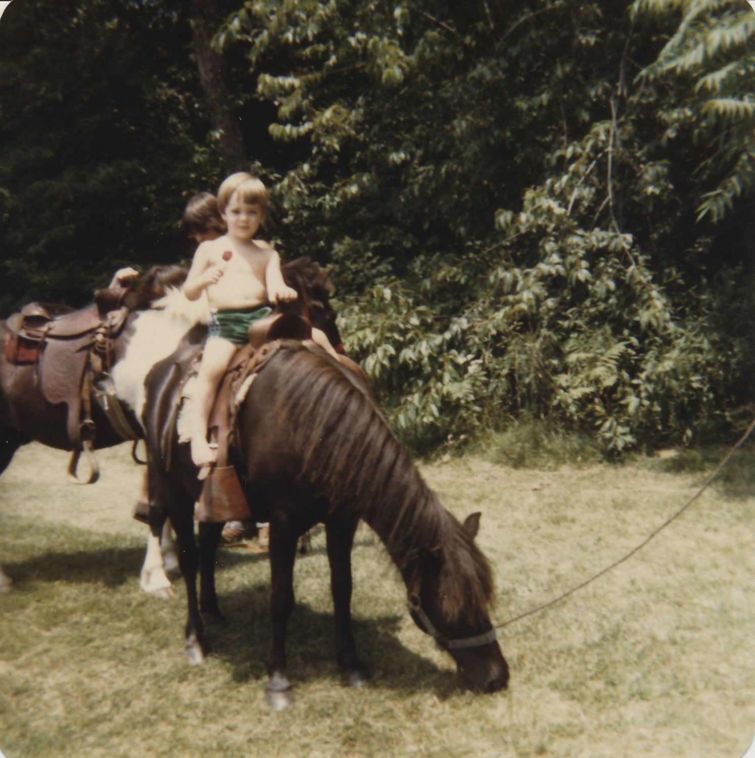 WH Pony Rides 1981.jpg