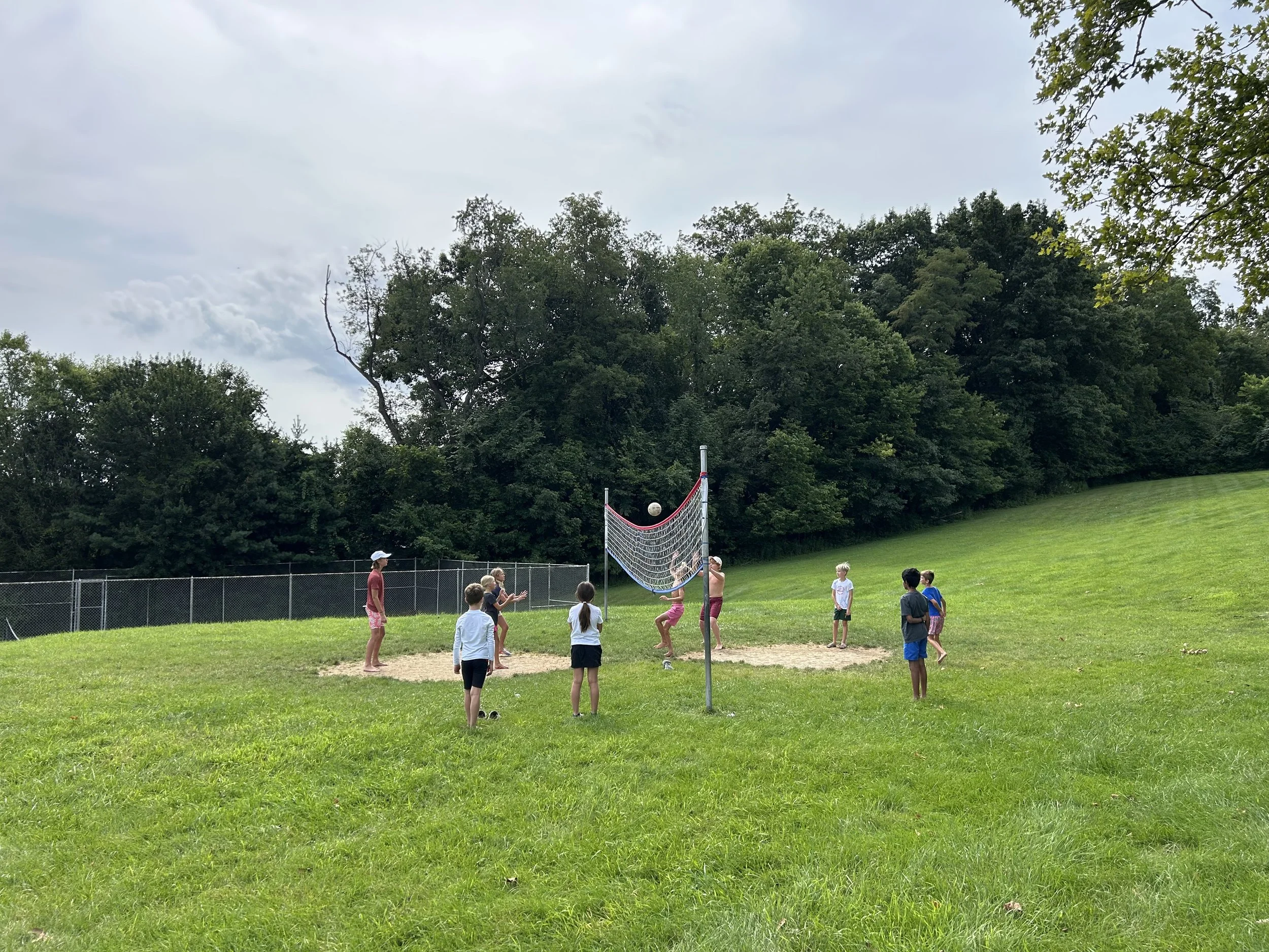 New? Come—Play Newcomb!