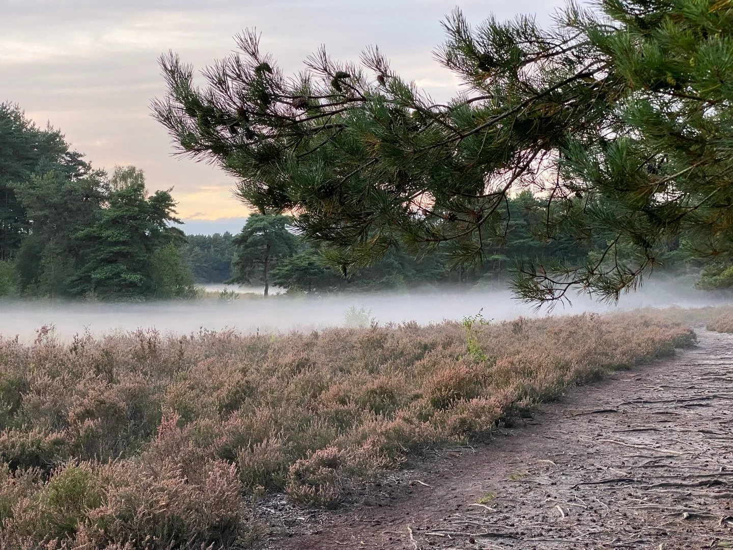 Curiosity can be a pattern disruptor.

When we stop and ask a genuine question, not rhetorical, or leading, but an open, wondering question, we disrupt the pattern. The pace slows. Something shifts. By asking expansive questions, we create more space