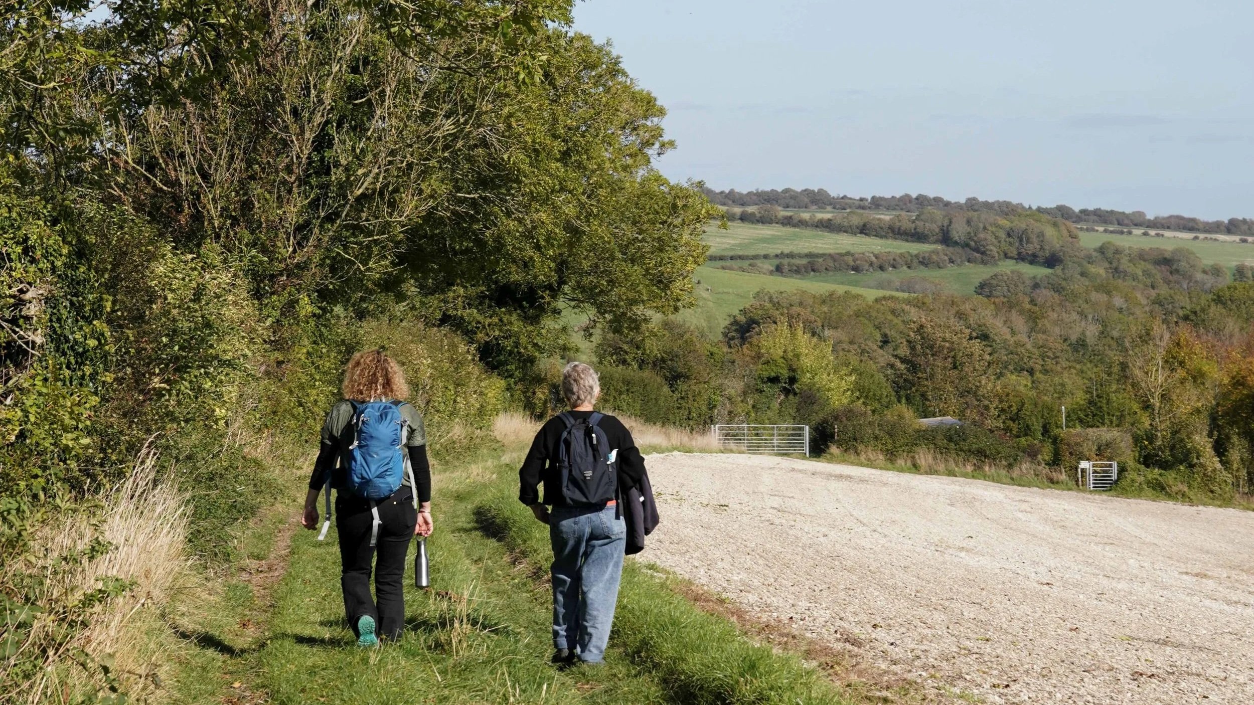 walking side by side outdoors during a leadership coaching session, representing the walk and talk approach to executive team development.