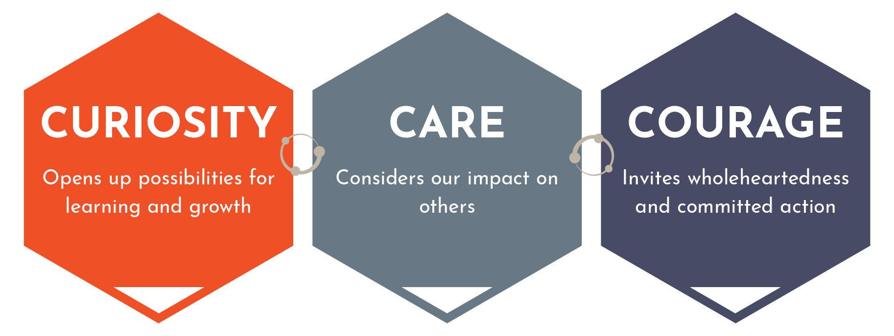A graphic with three interconnected hexagons titled 'Curiosity', 'Care', and 'Courage'. 'Curiosity' is orange and states 'Opens up possibilities for learning and growth'. 'Care' is gray and states 'Considers our impact on others'. 'Courage' is dark blue and states 'Invites wholeheartedness and committed action'.