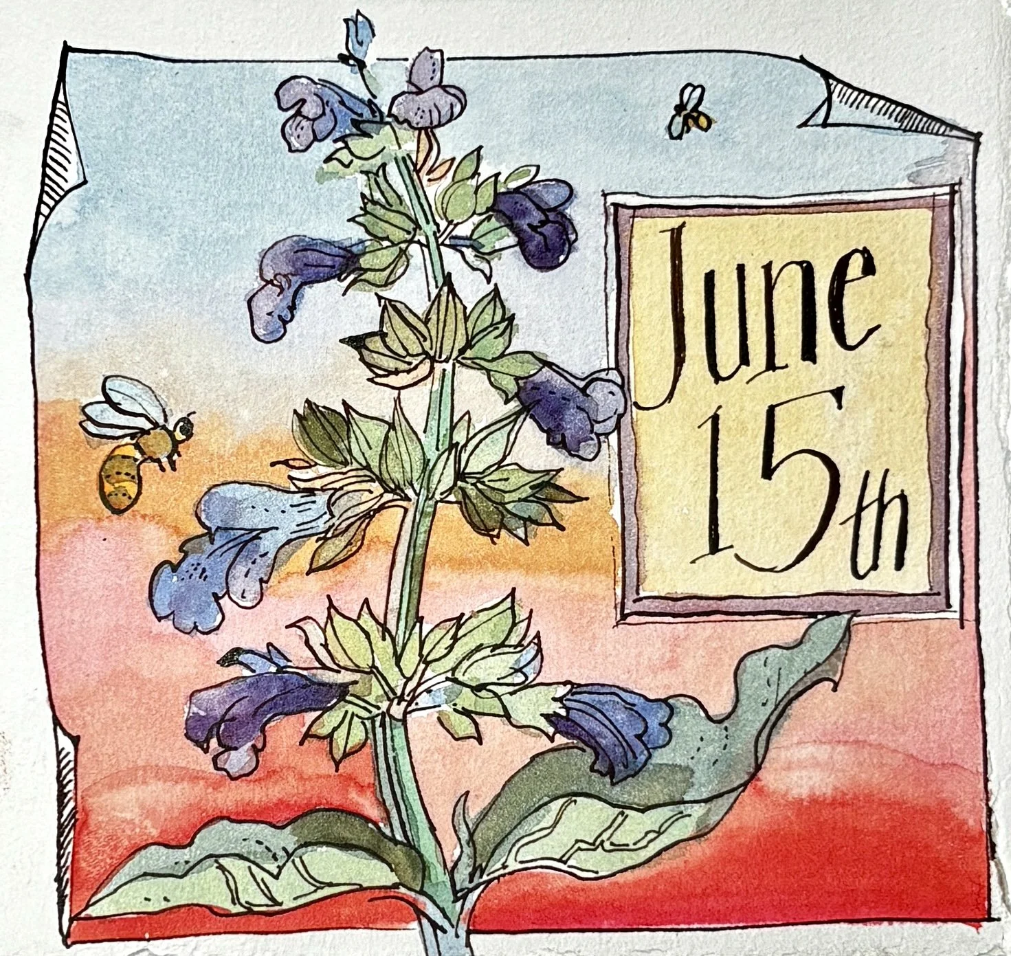 June 15th.JPG