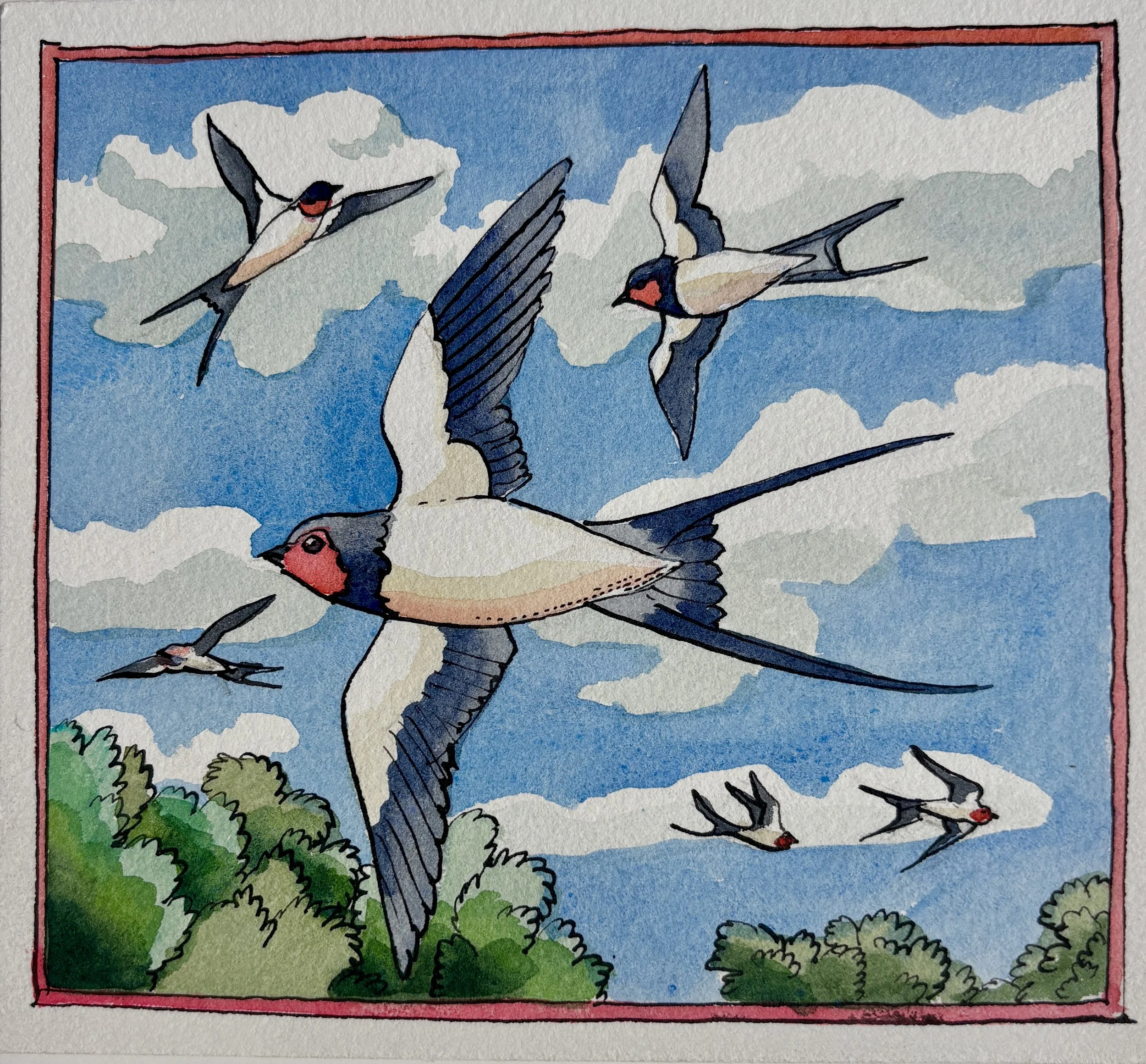 Swallows