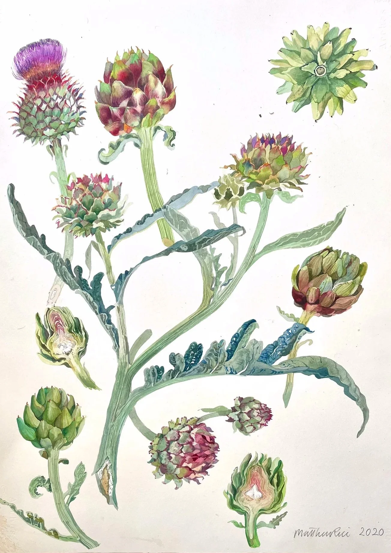 tempImageyedwS8.jpg
