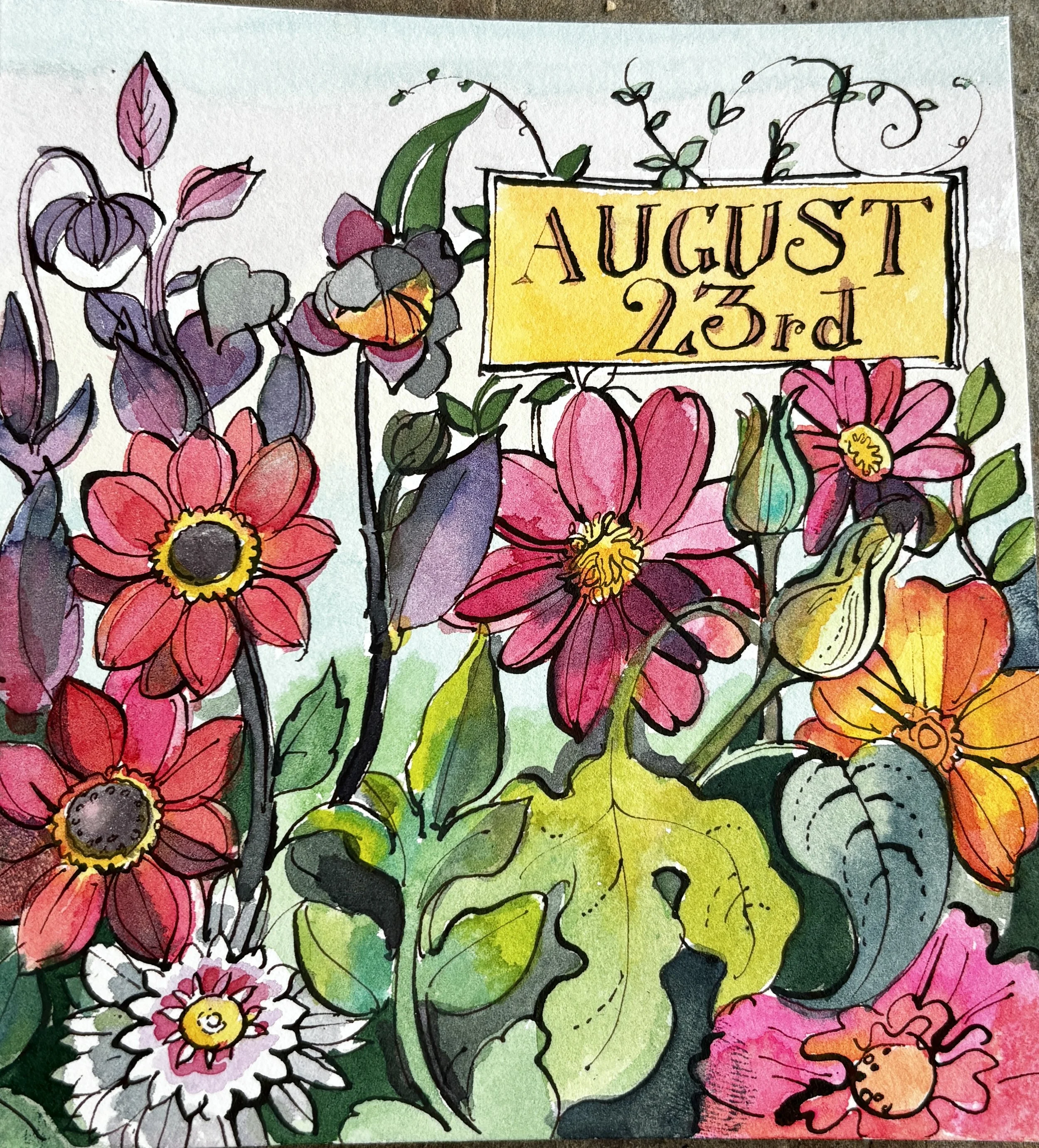 Aug 23rd.JPG