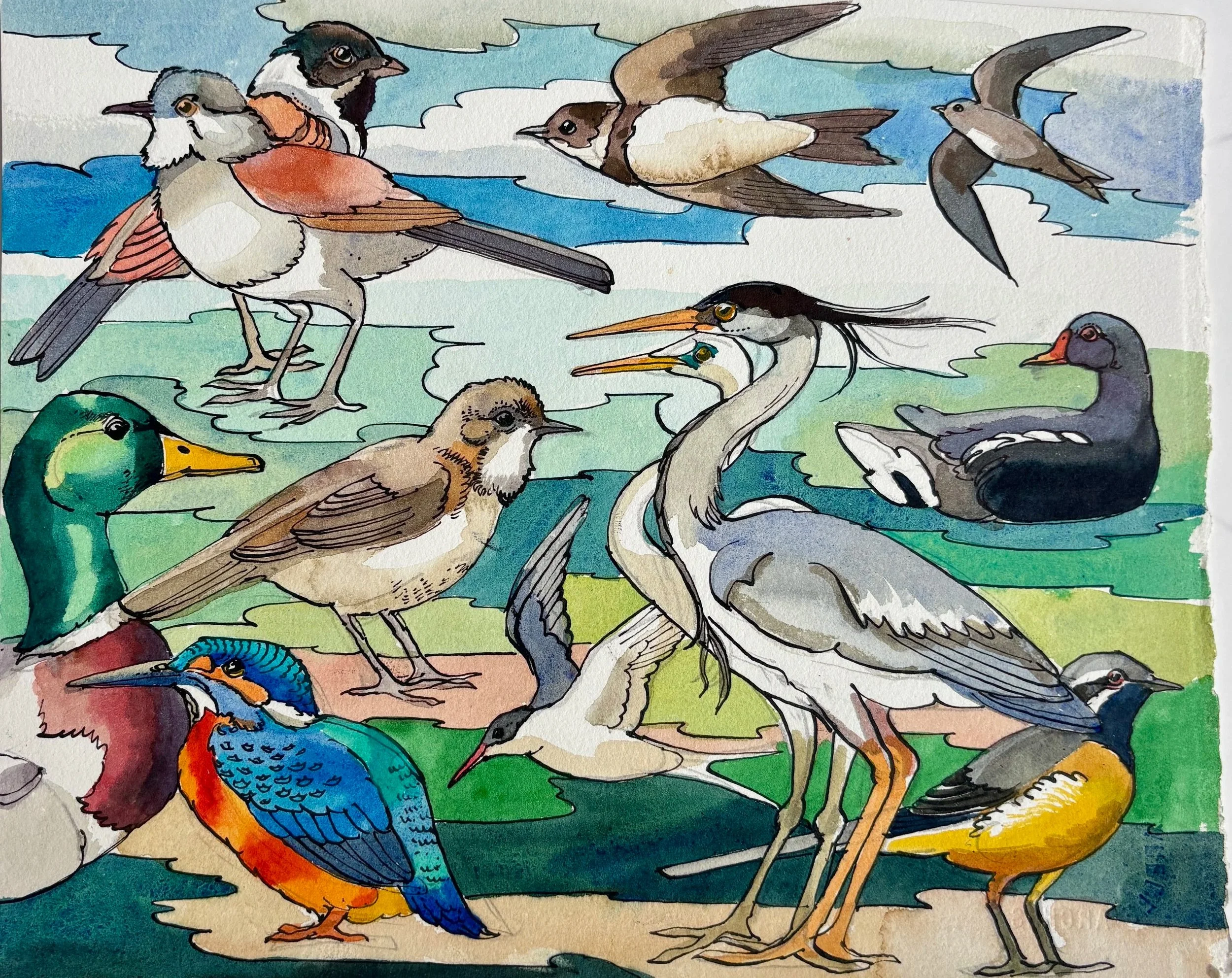 Water Birds