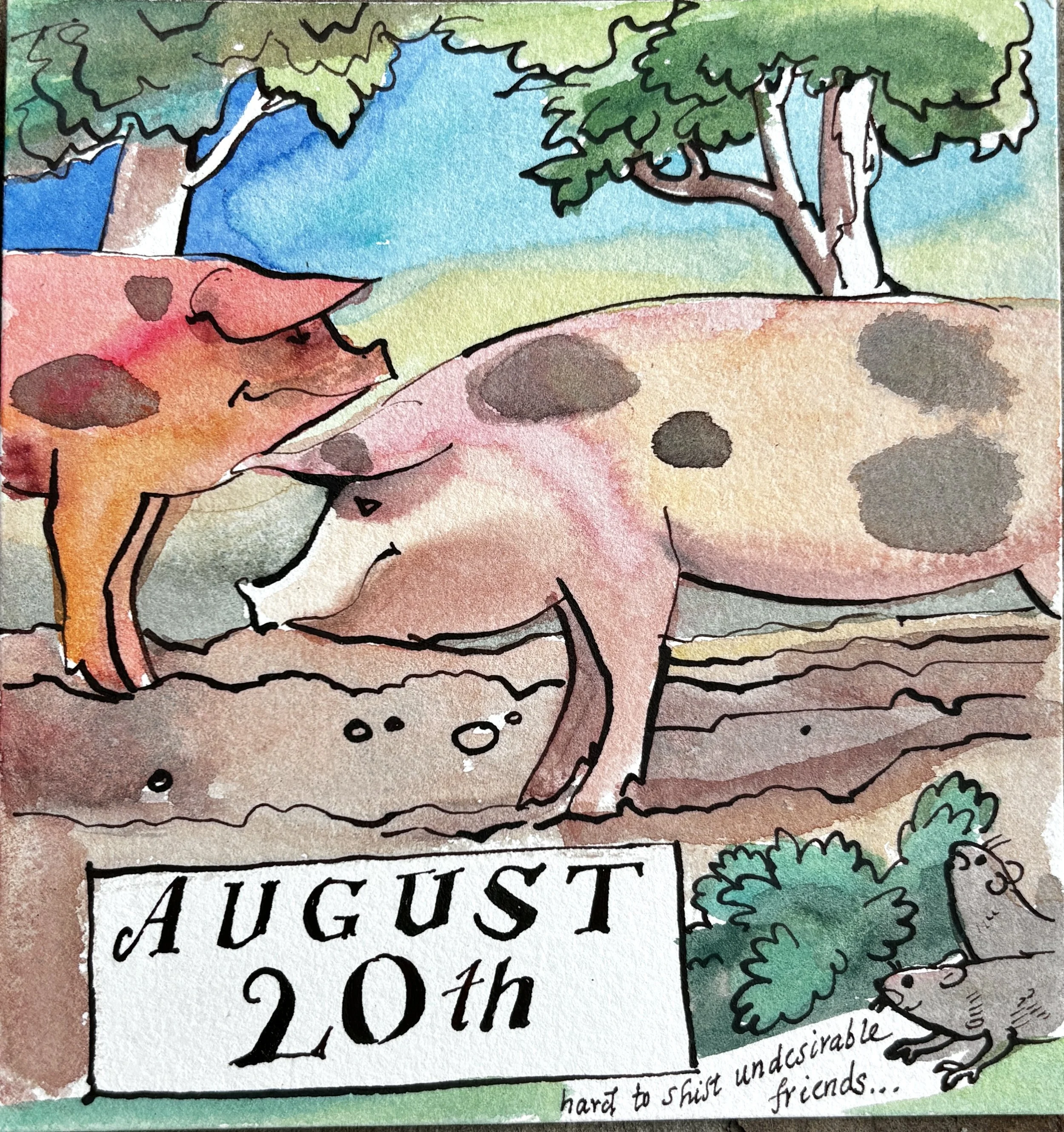 Aug 20th.JPG
