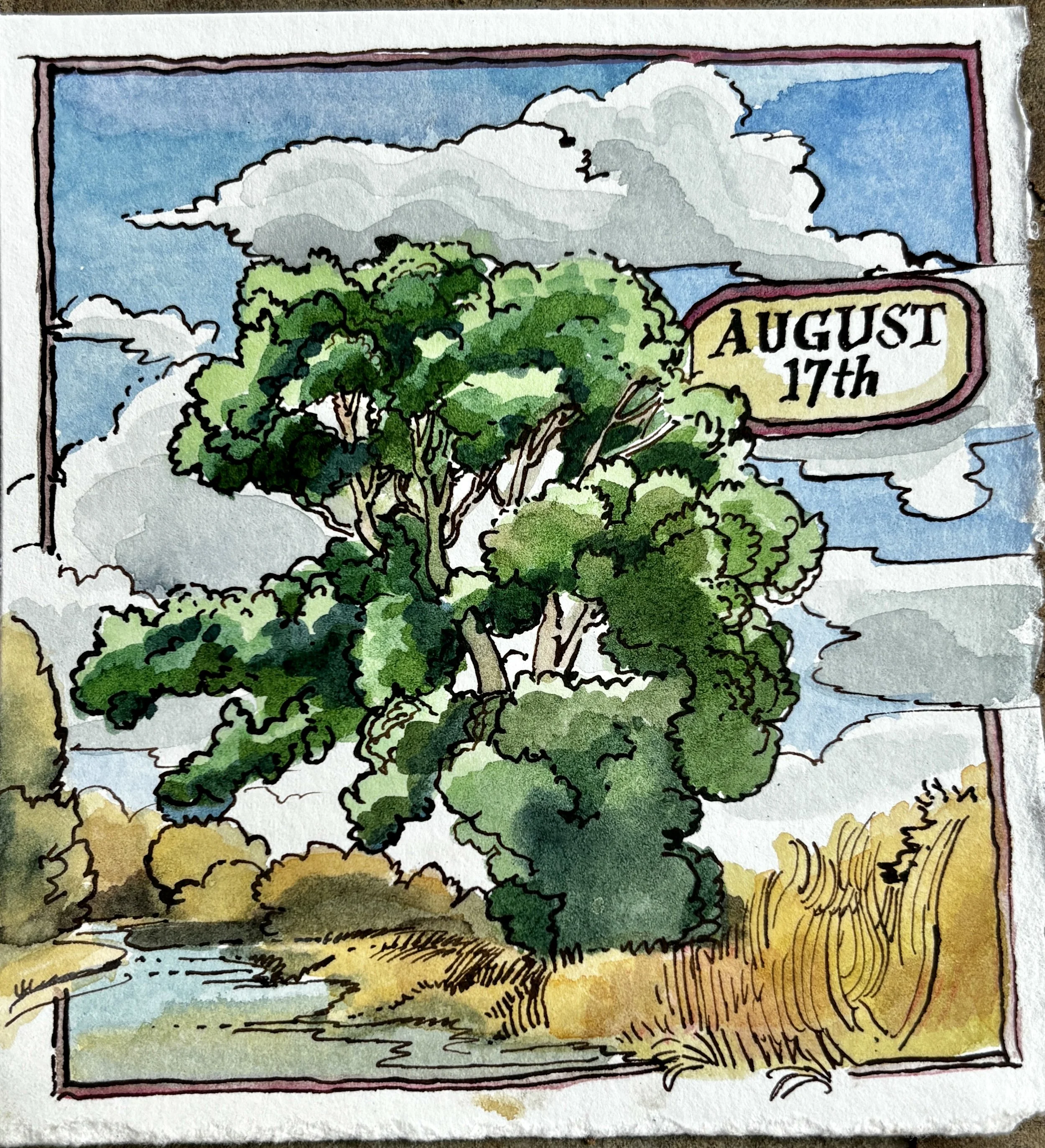 Aug 17th.JPG