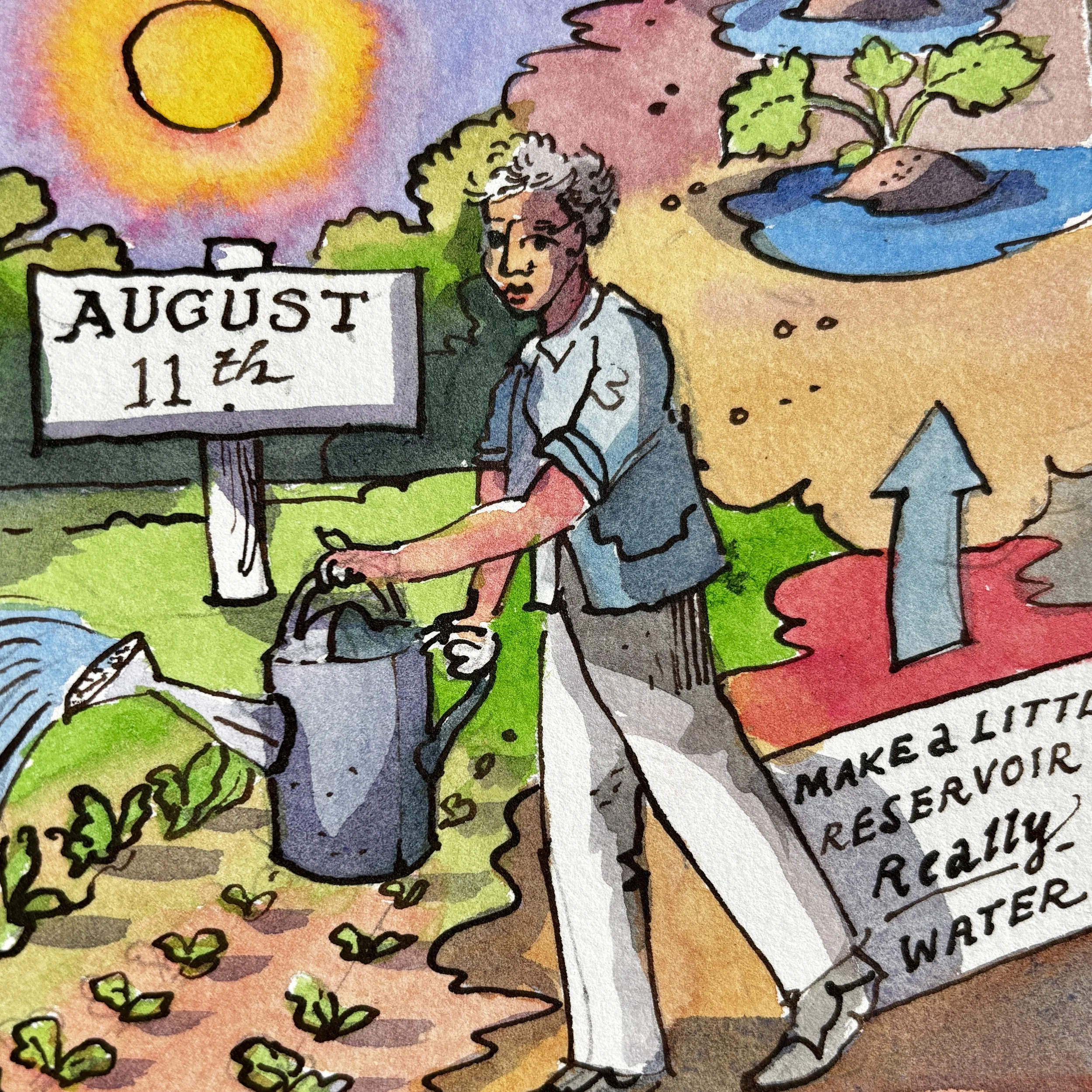 Aug 11h.JPG