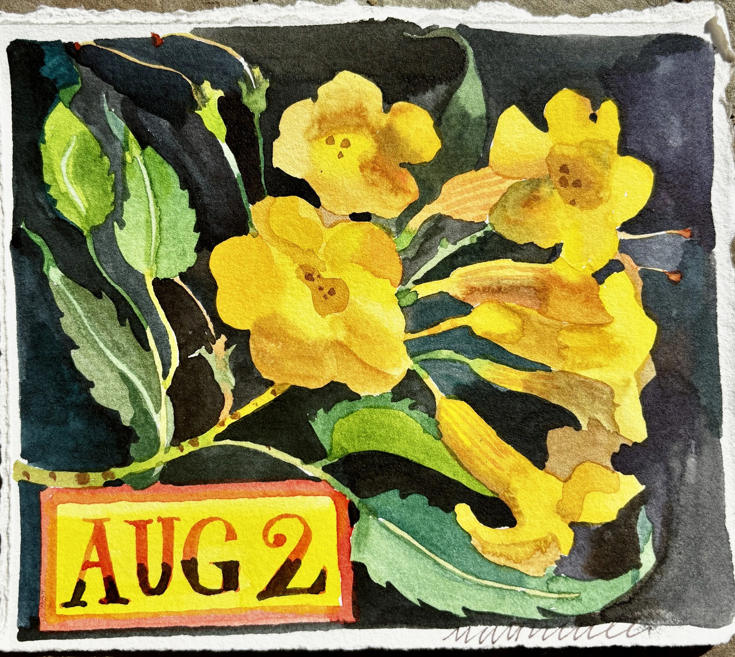 2nd August.JPG