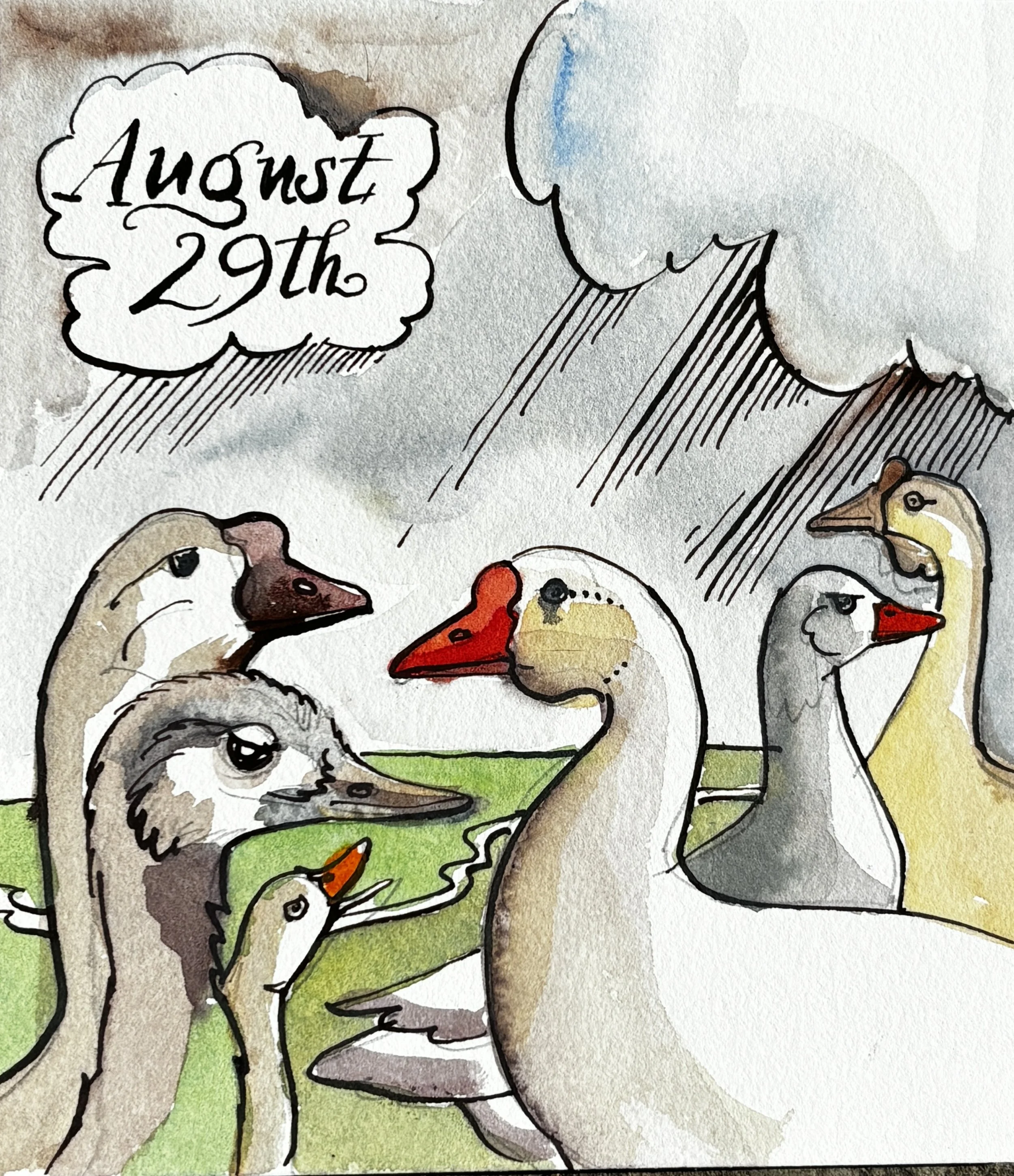 Aug 29th.JPG