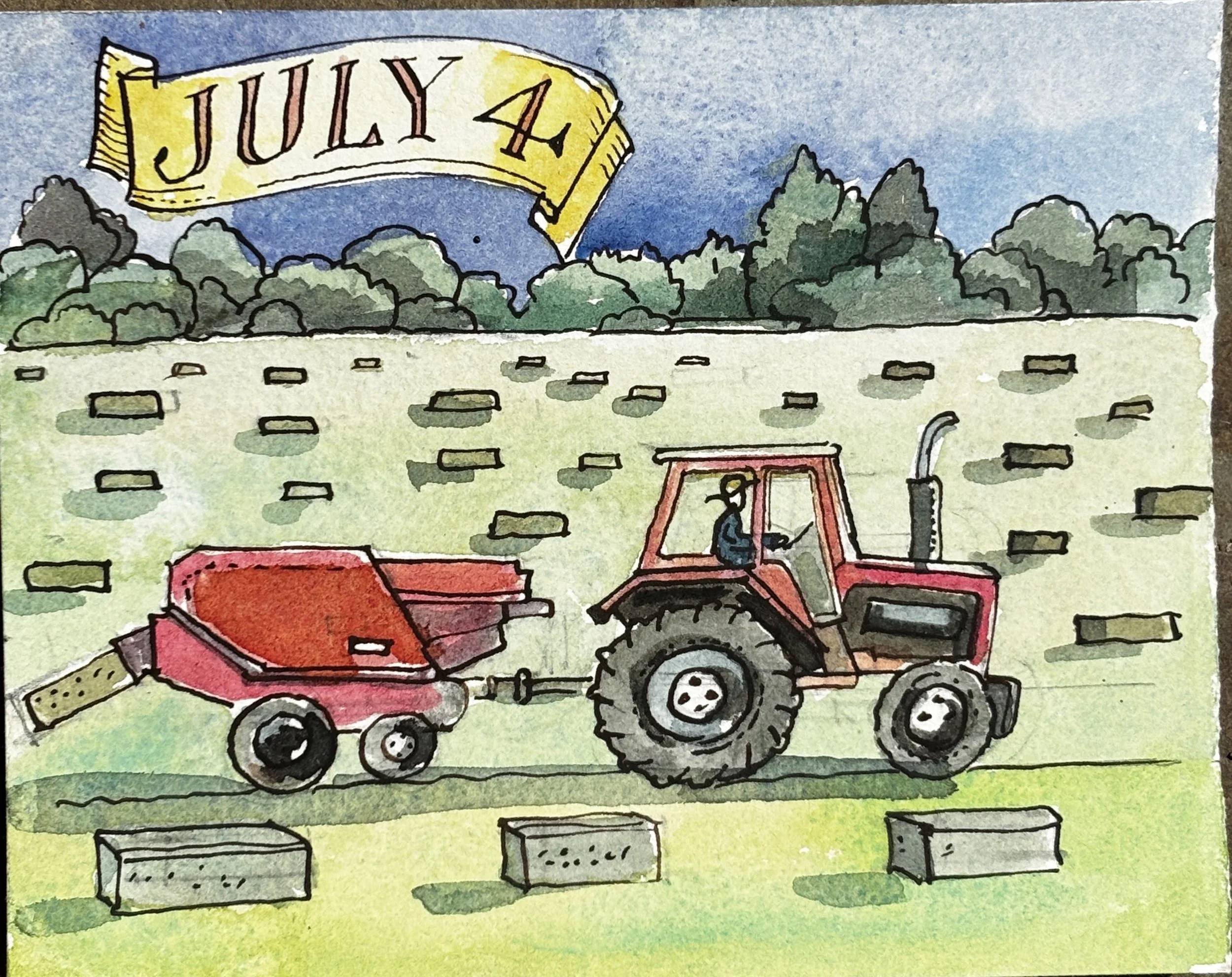 July 4th.JPG