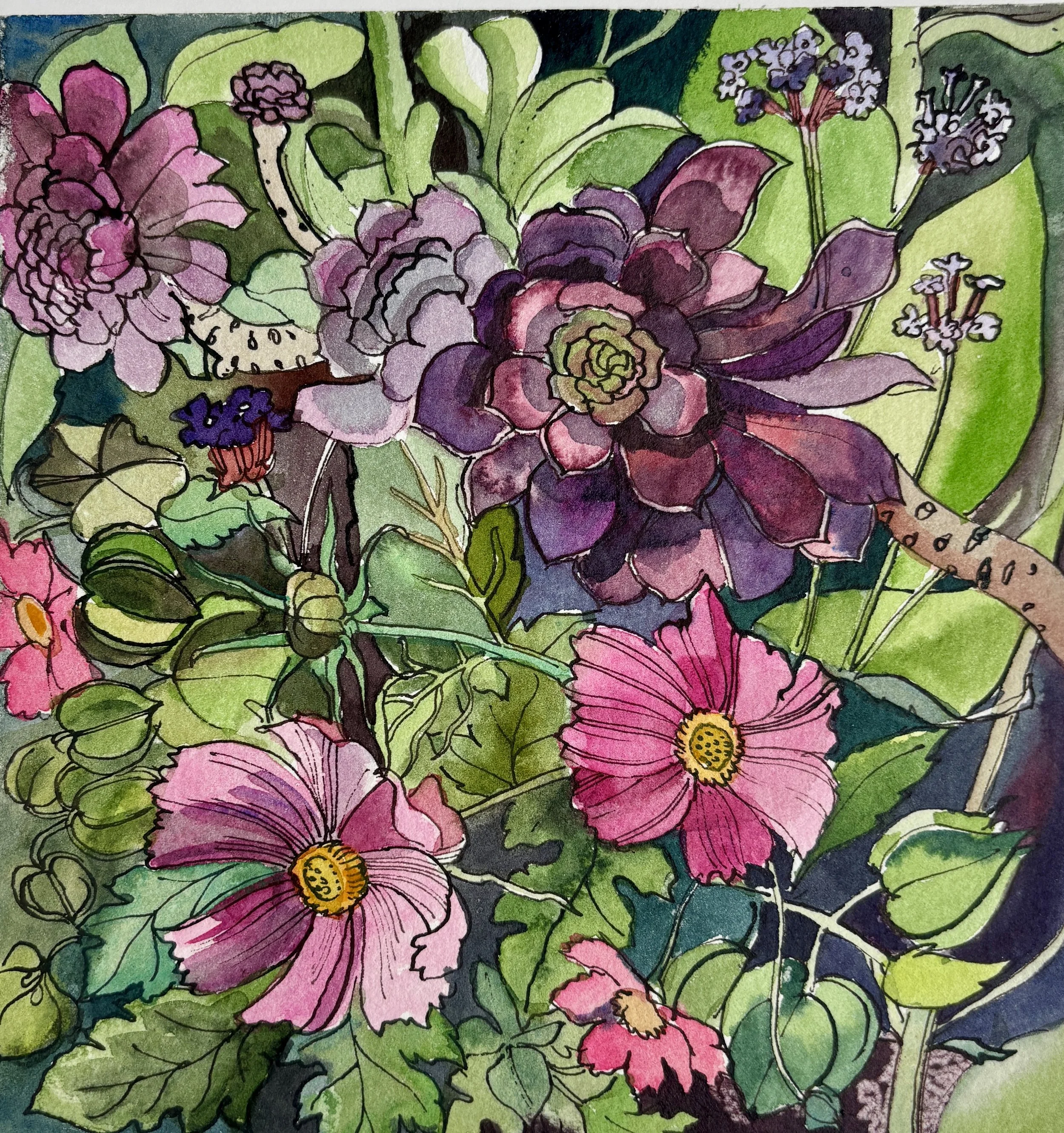 Cosmos