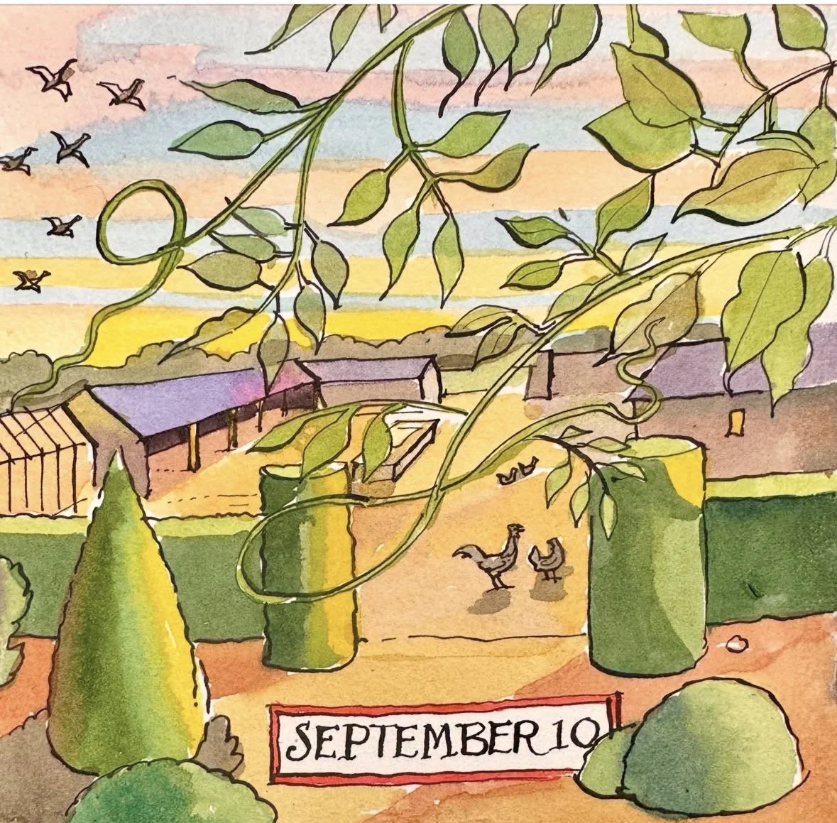Sept 10th.jpeg