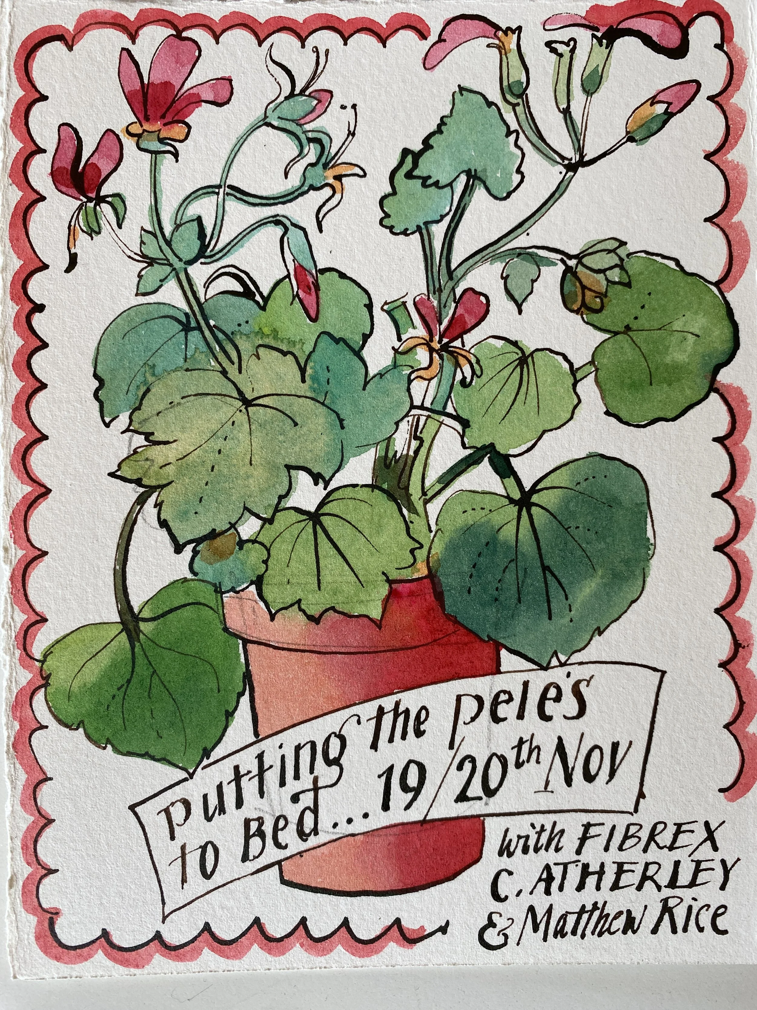 19th November Pelargonium Day at Ham Court