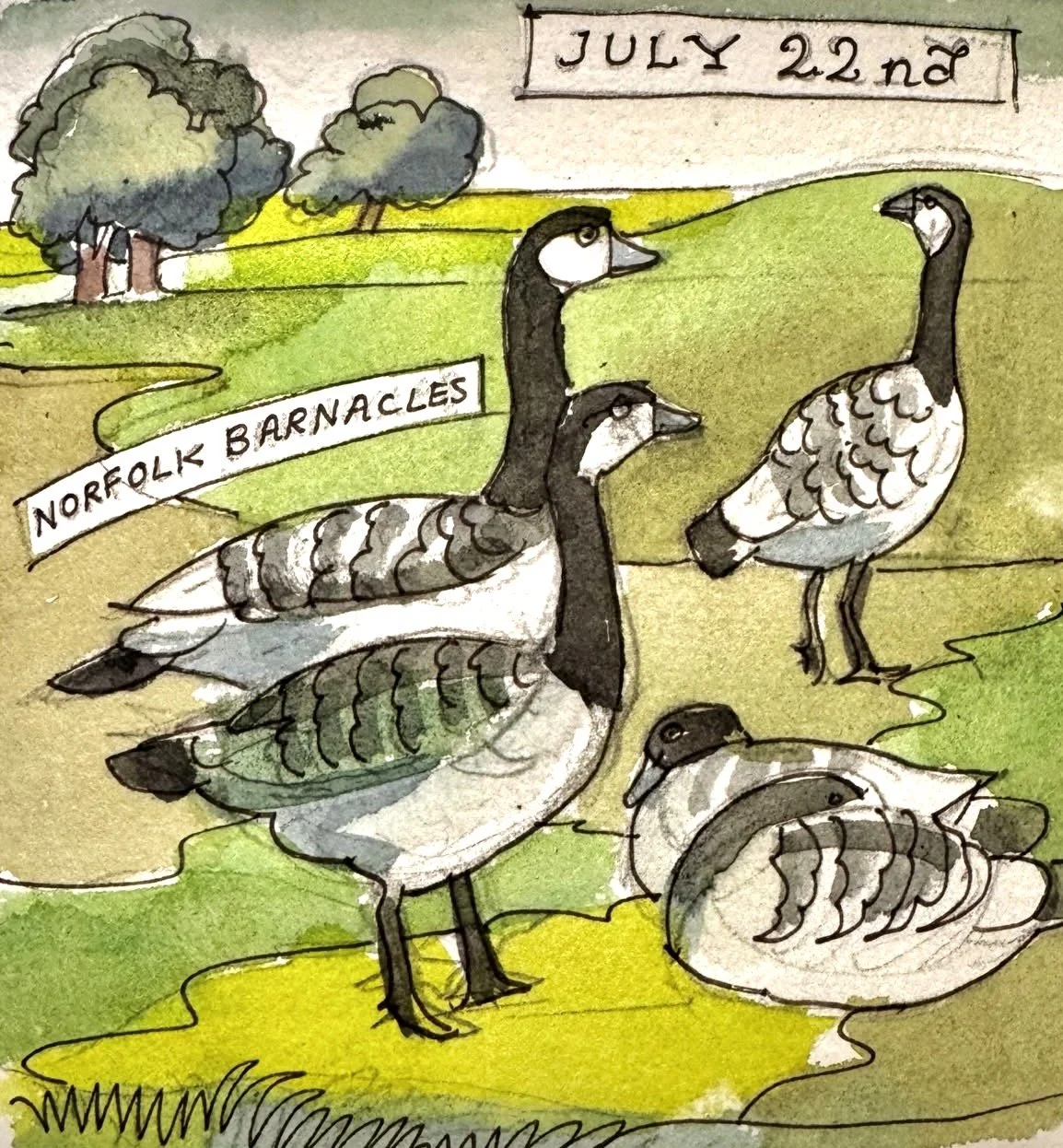 July 22nd.jpeg