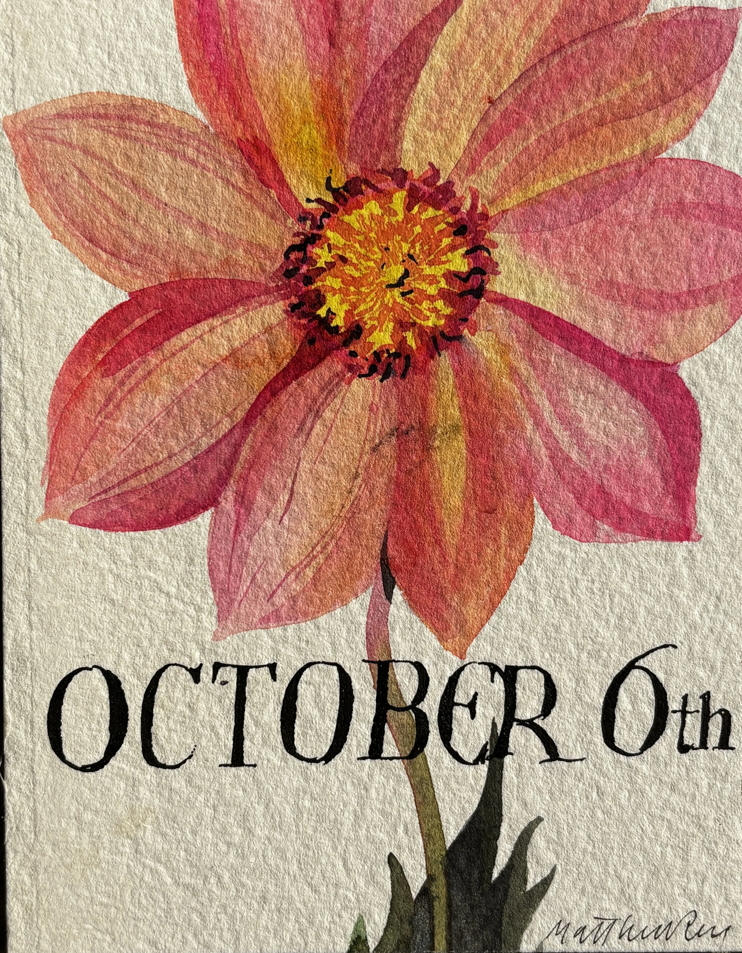 Oct 6th (flower).JPG