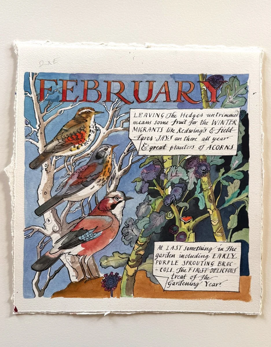 February Birds - Calendar Artwork
