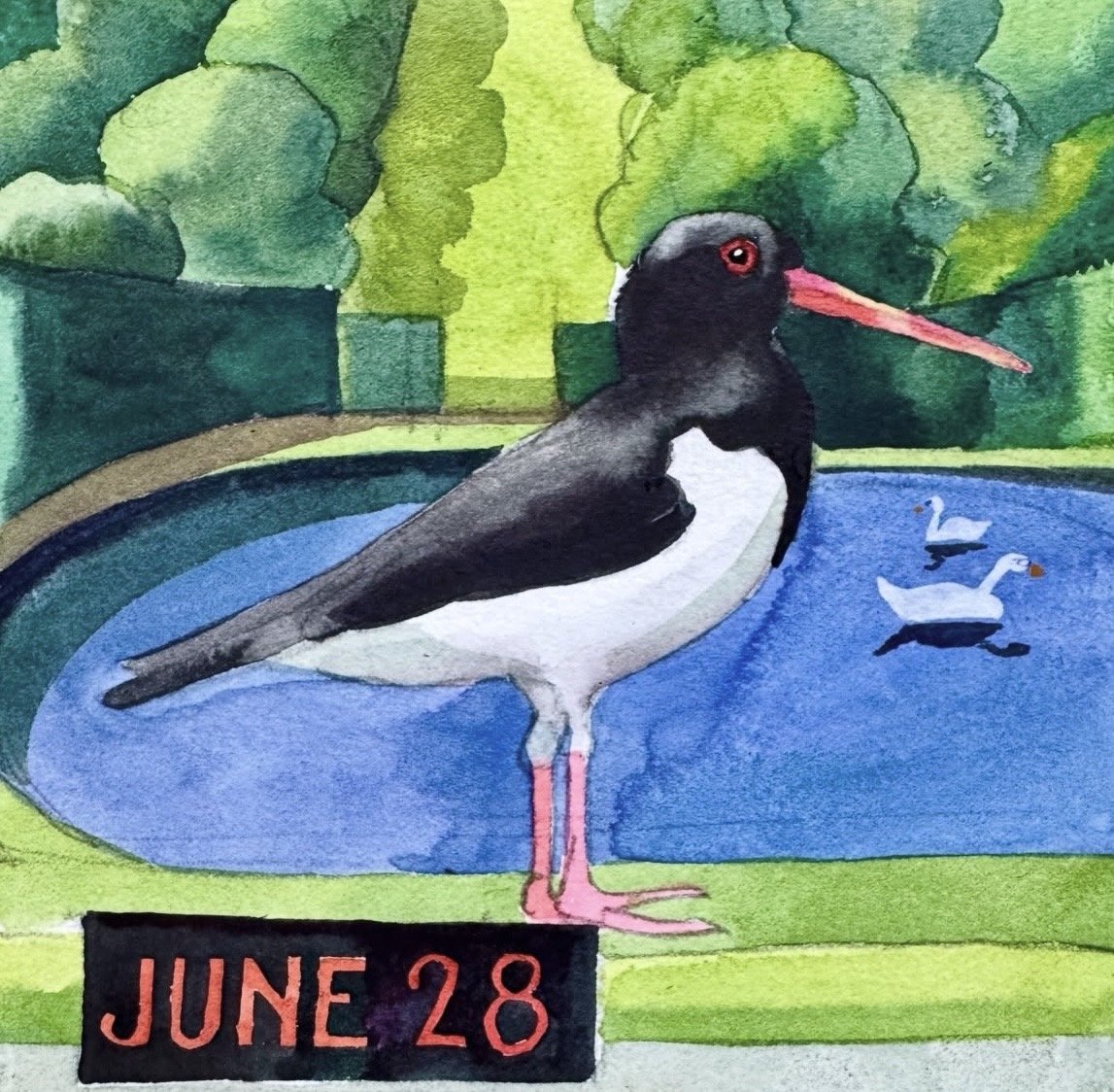 June 28th.jpeg