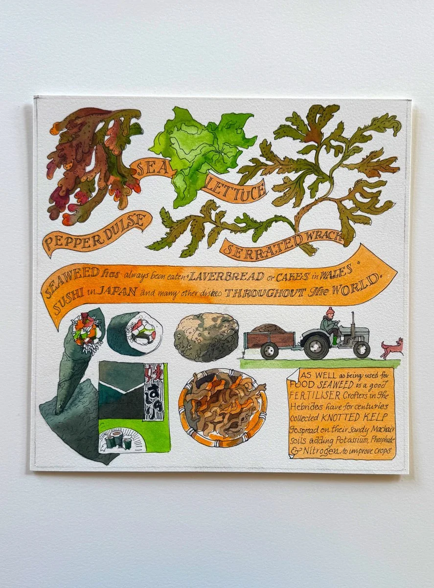 Seaweed - Calendar Artwork