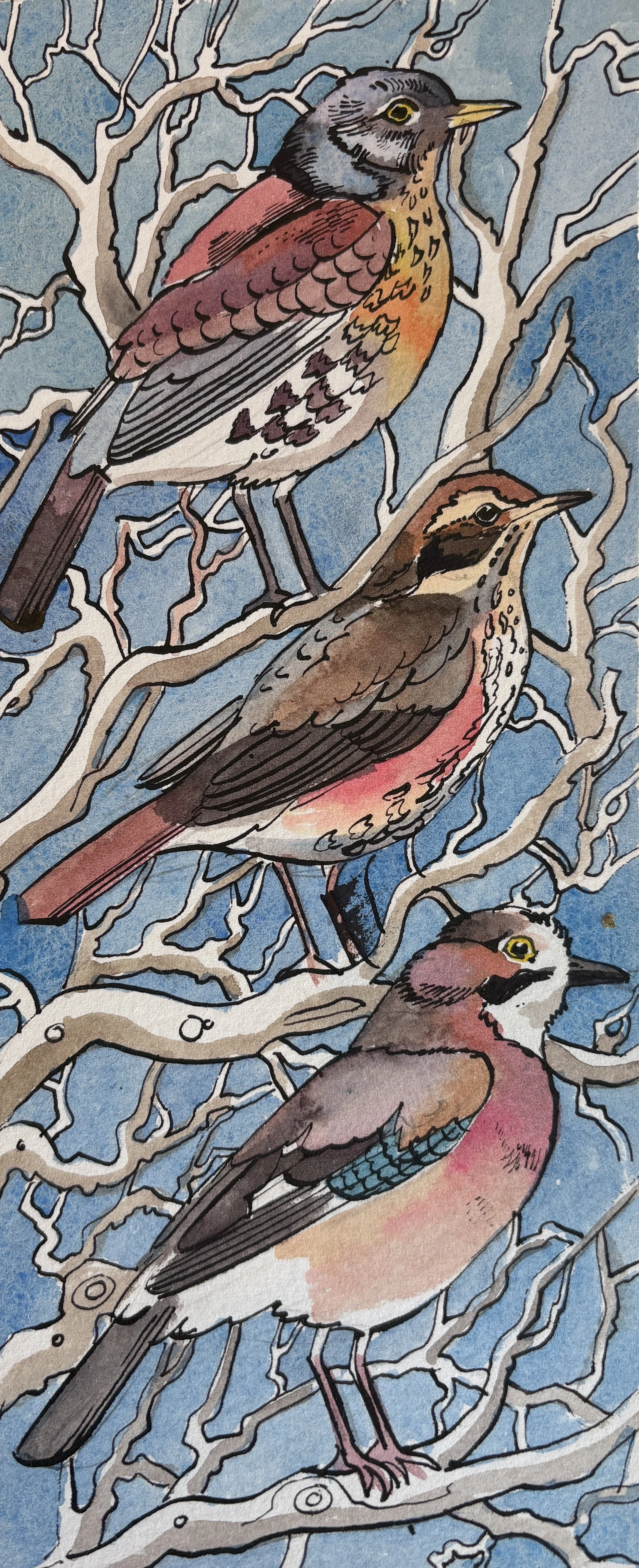 Winter Birds