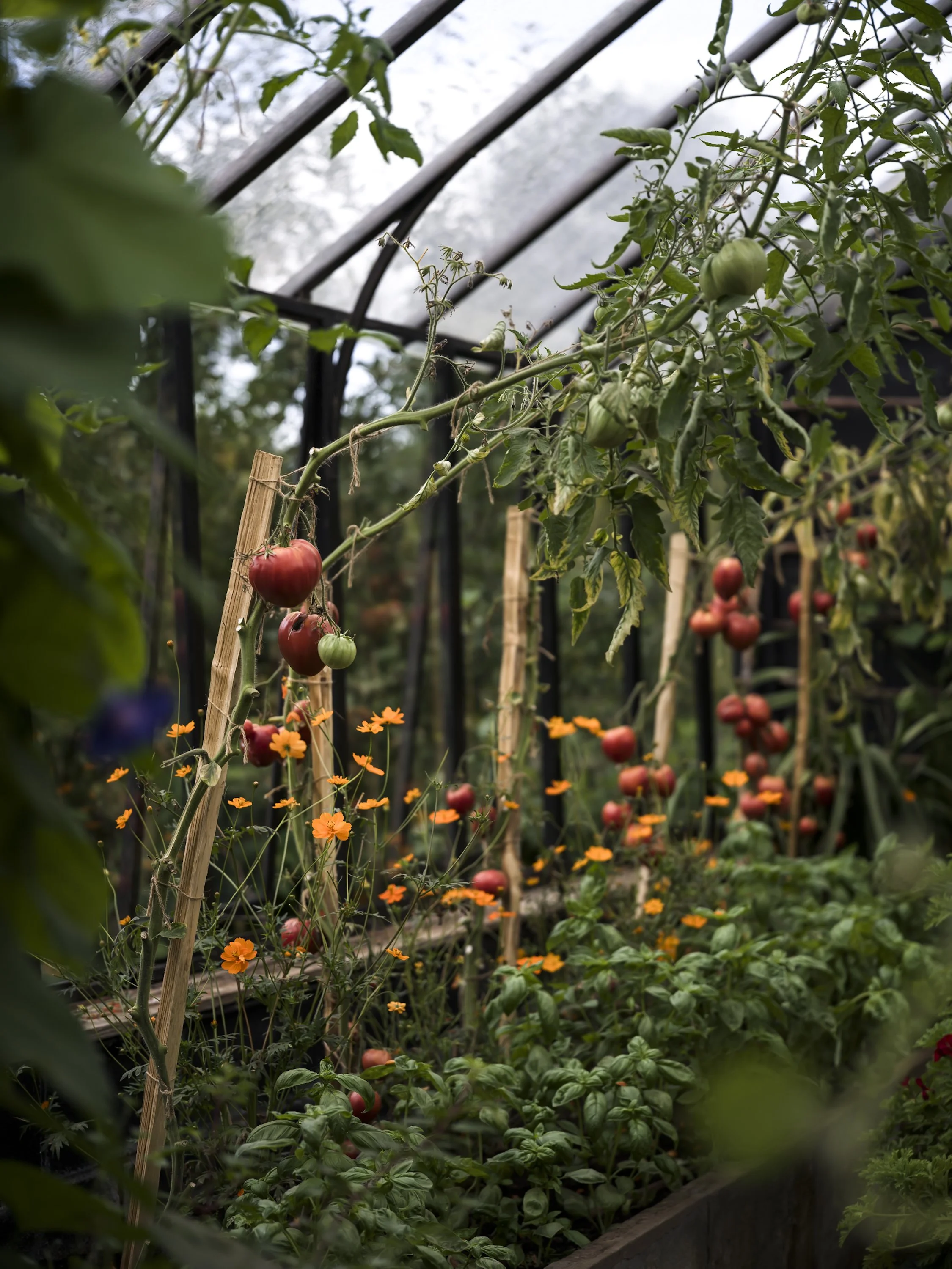 SarahFrancesKelley-036.jpg (Copy)